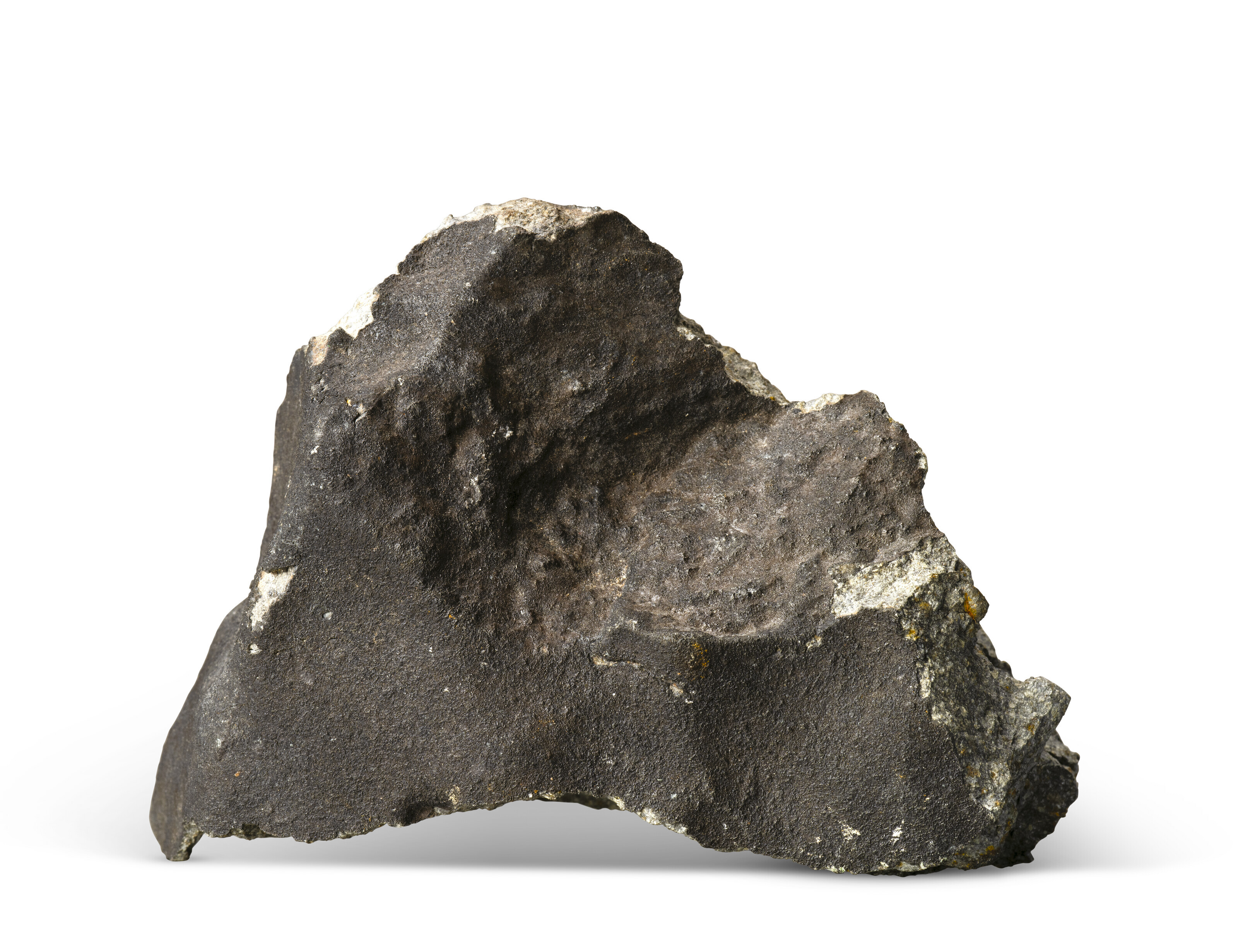 Chondrites