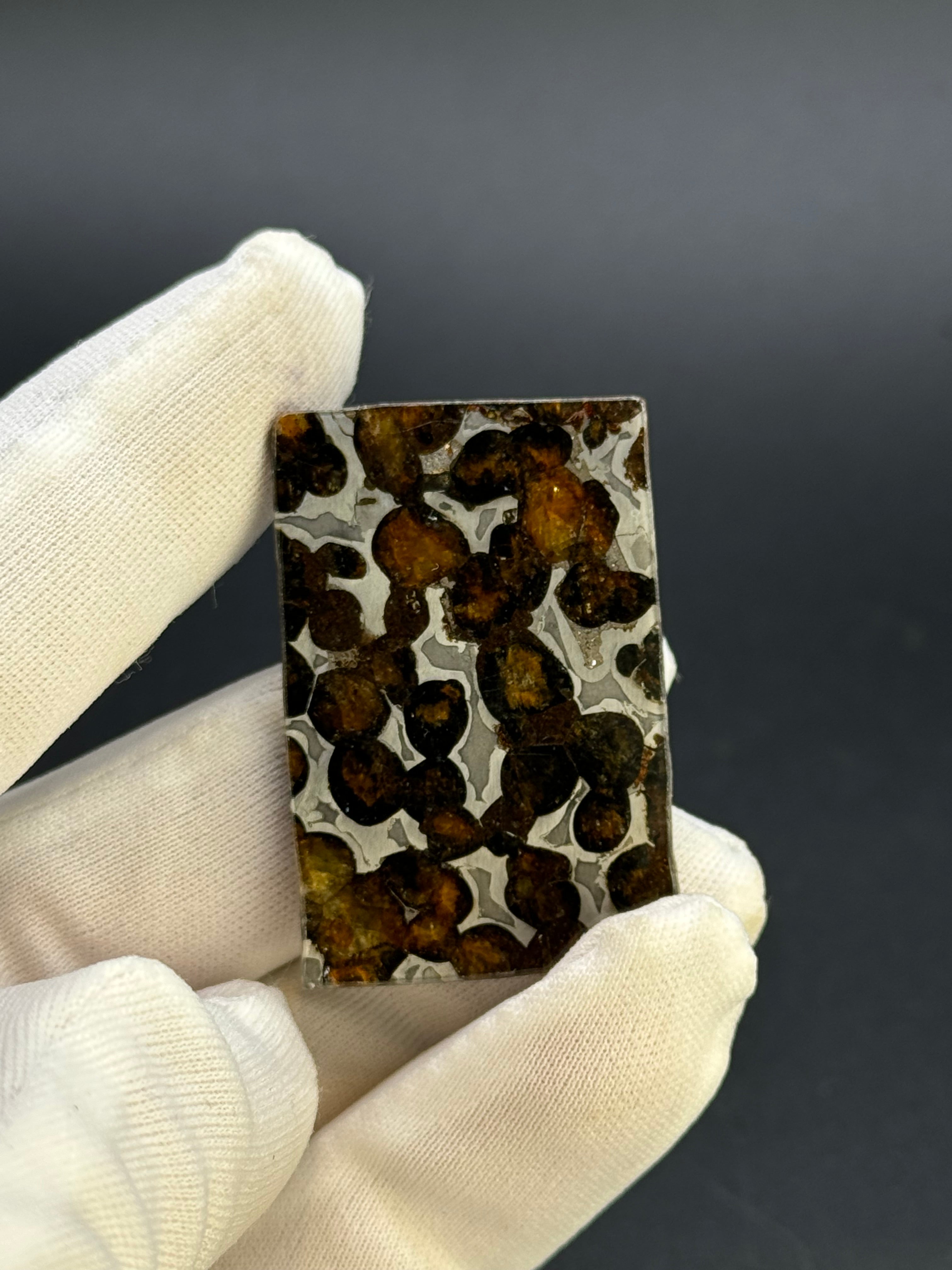 SERICHO METEORITE, KENYA. 9,02 GRAMS SLICE