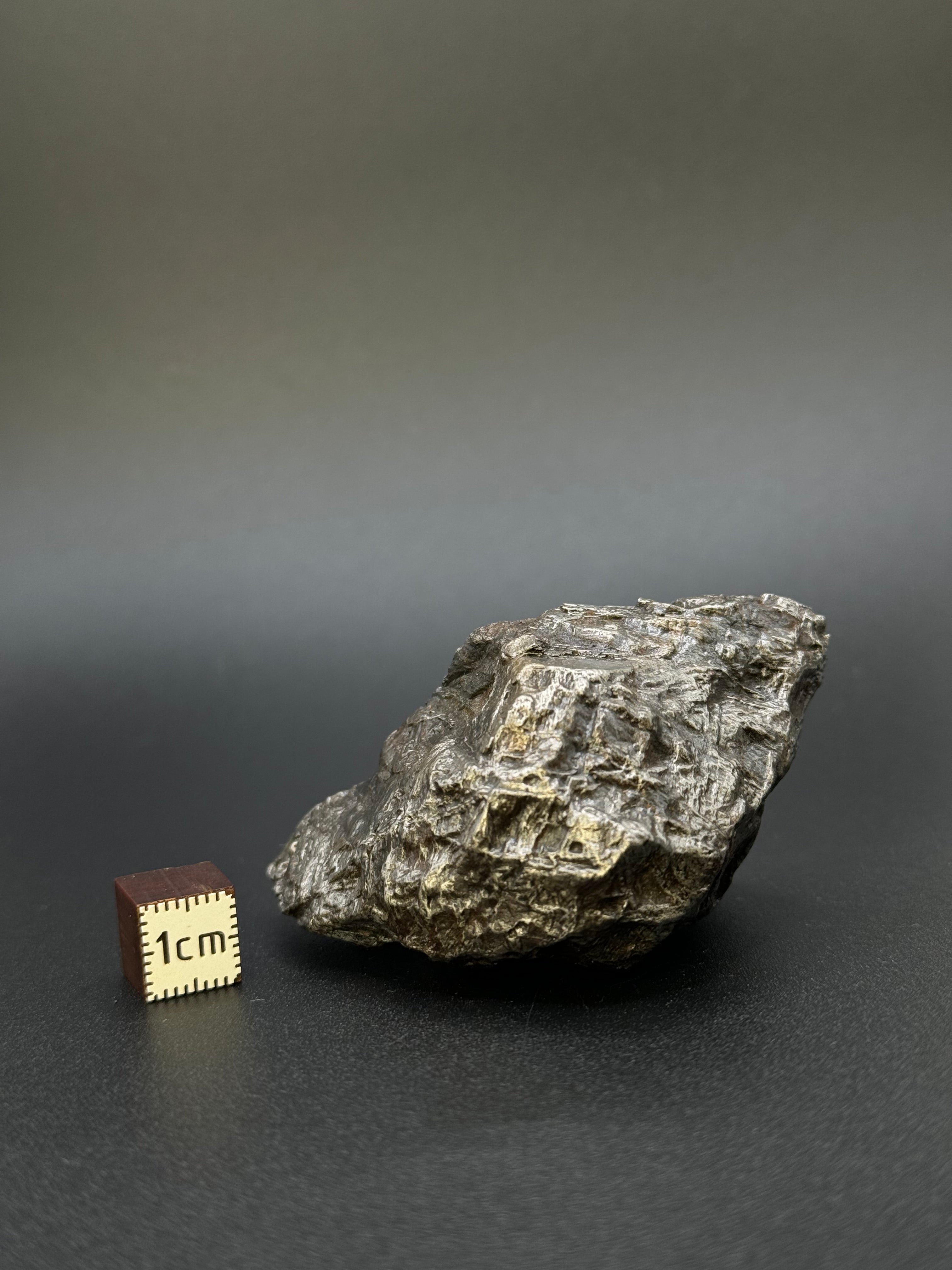 MUONIONALUSTA METEORITE, SWEDEN. 213 GRAMS END-CUT.