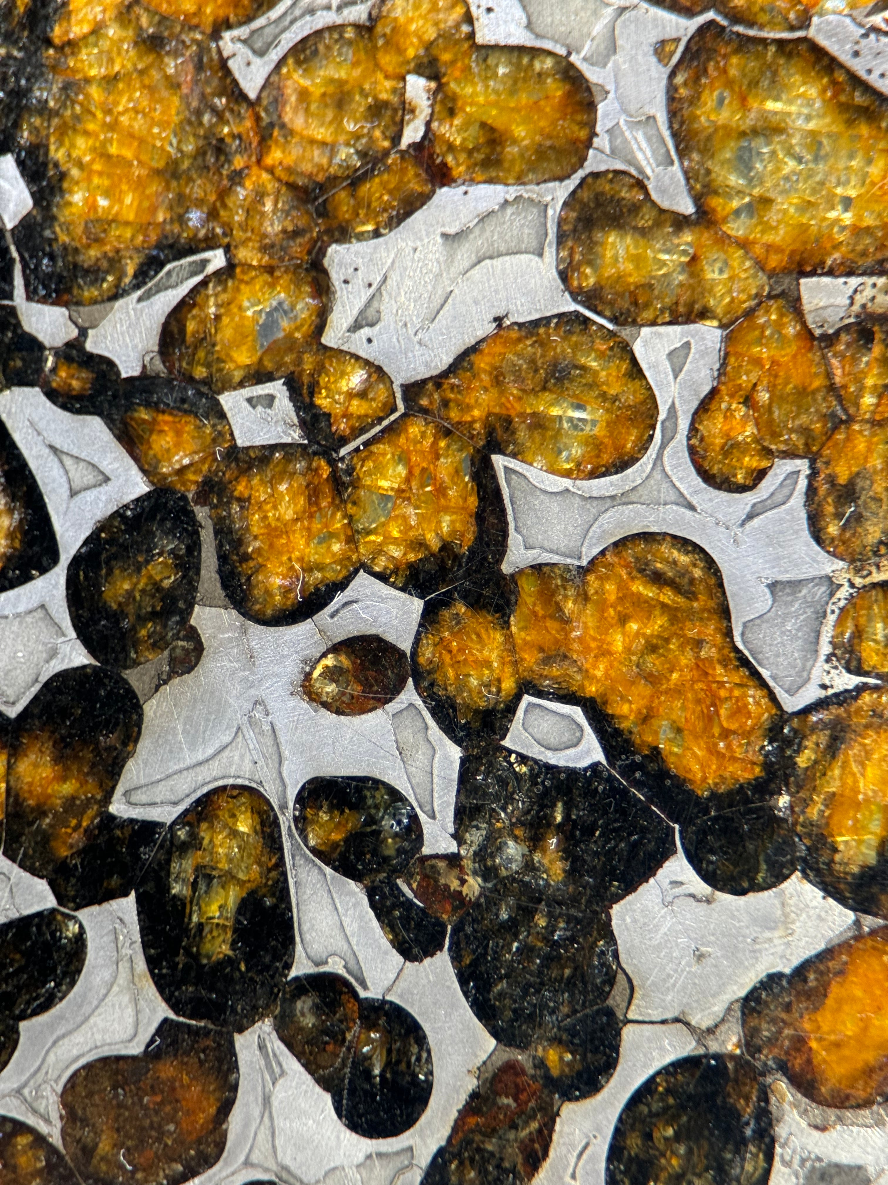 SERICHO METEORITE, KENYA. 20,8 GRAMS SLICE