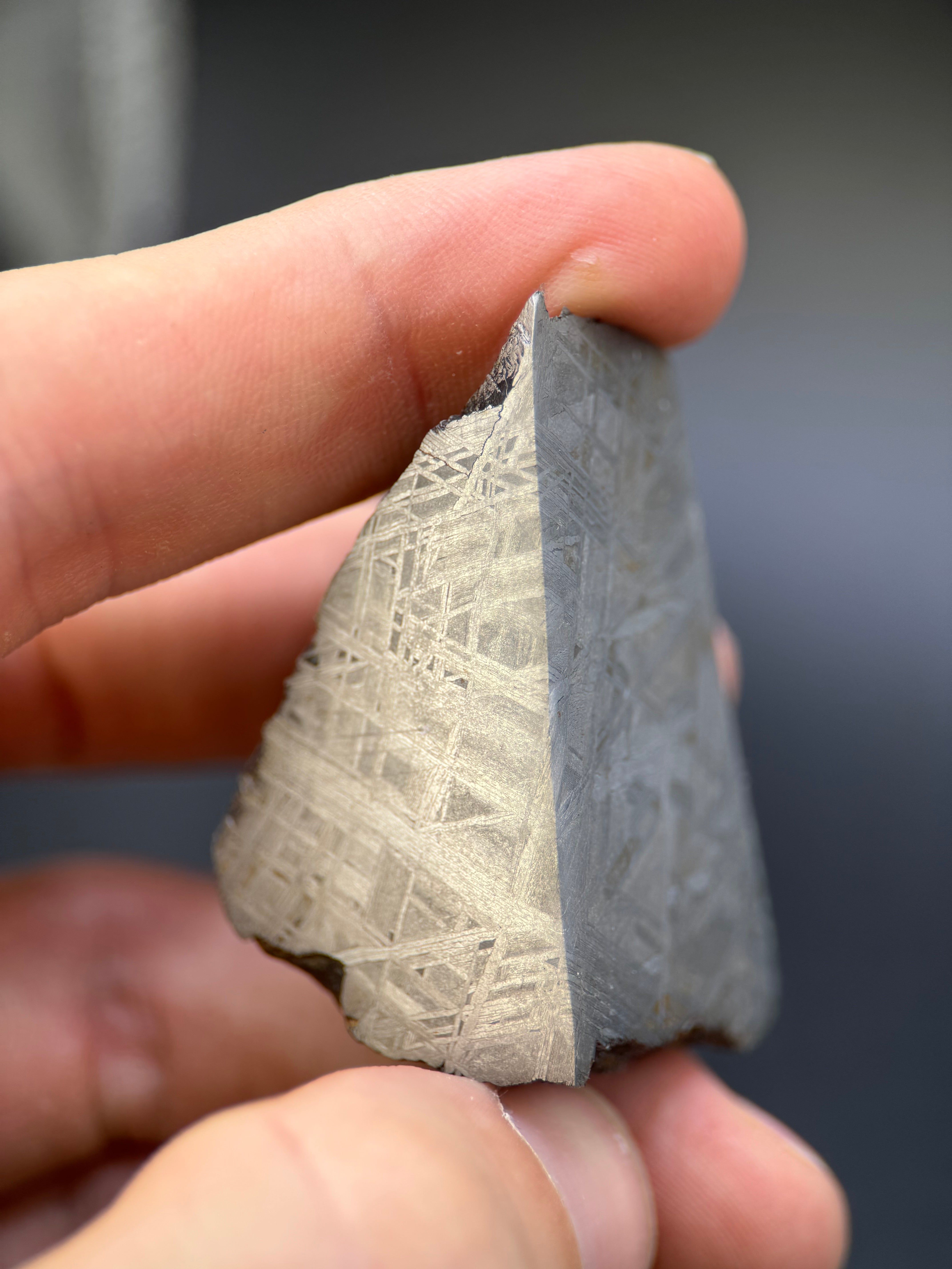 MUONIONALUSTA METEORITE, SWEDEN. 141,05 GRAMS END-CUT