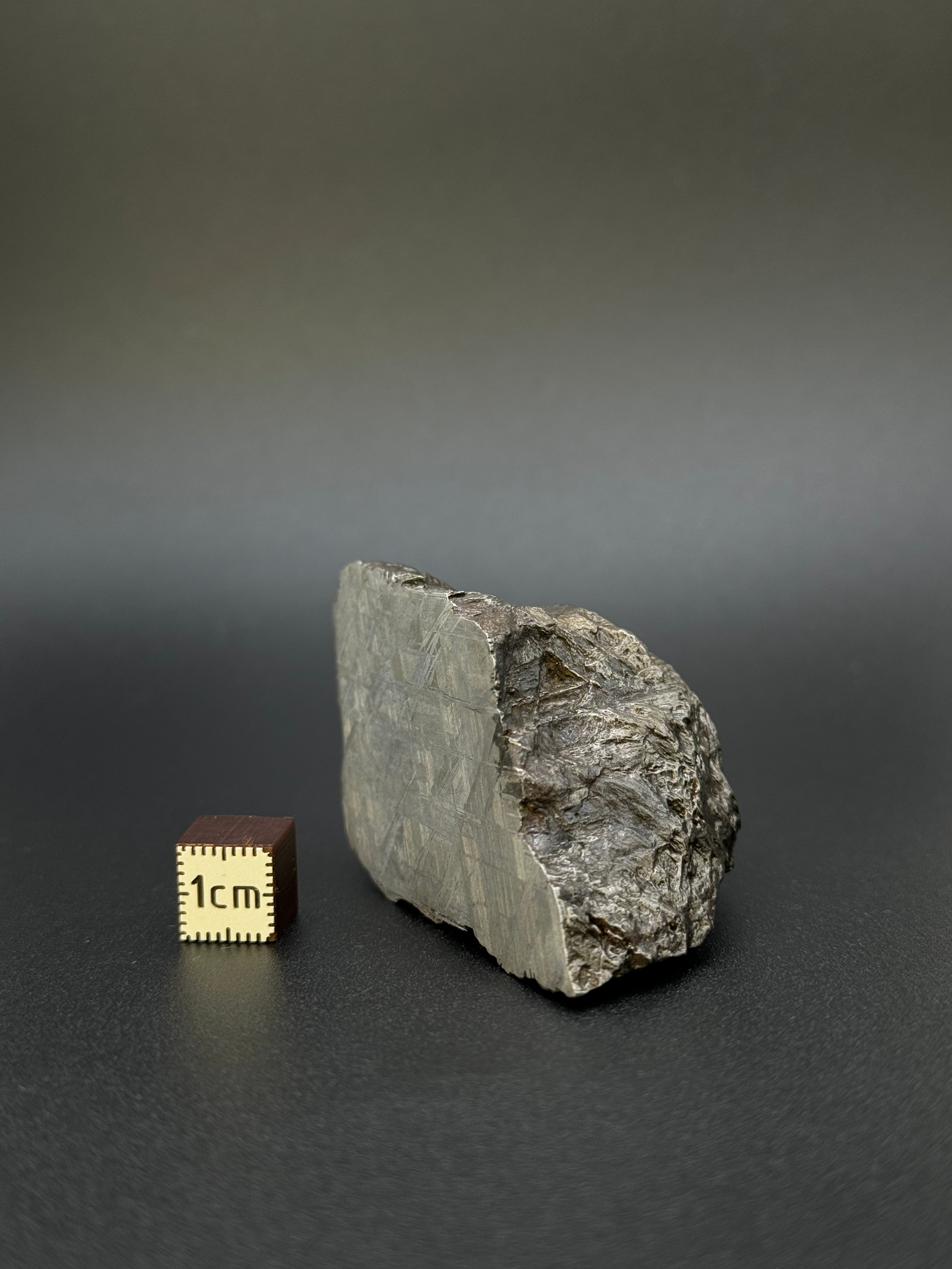 MUONIONALUSTA METEORITE, SWEDEN. 213 GRAMS END-CUT.