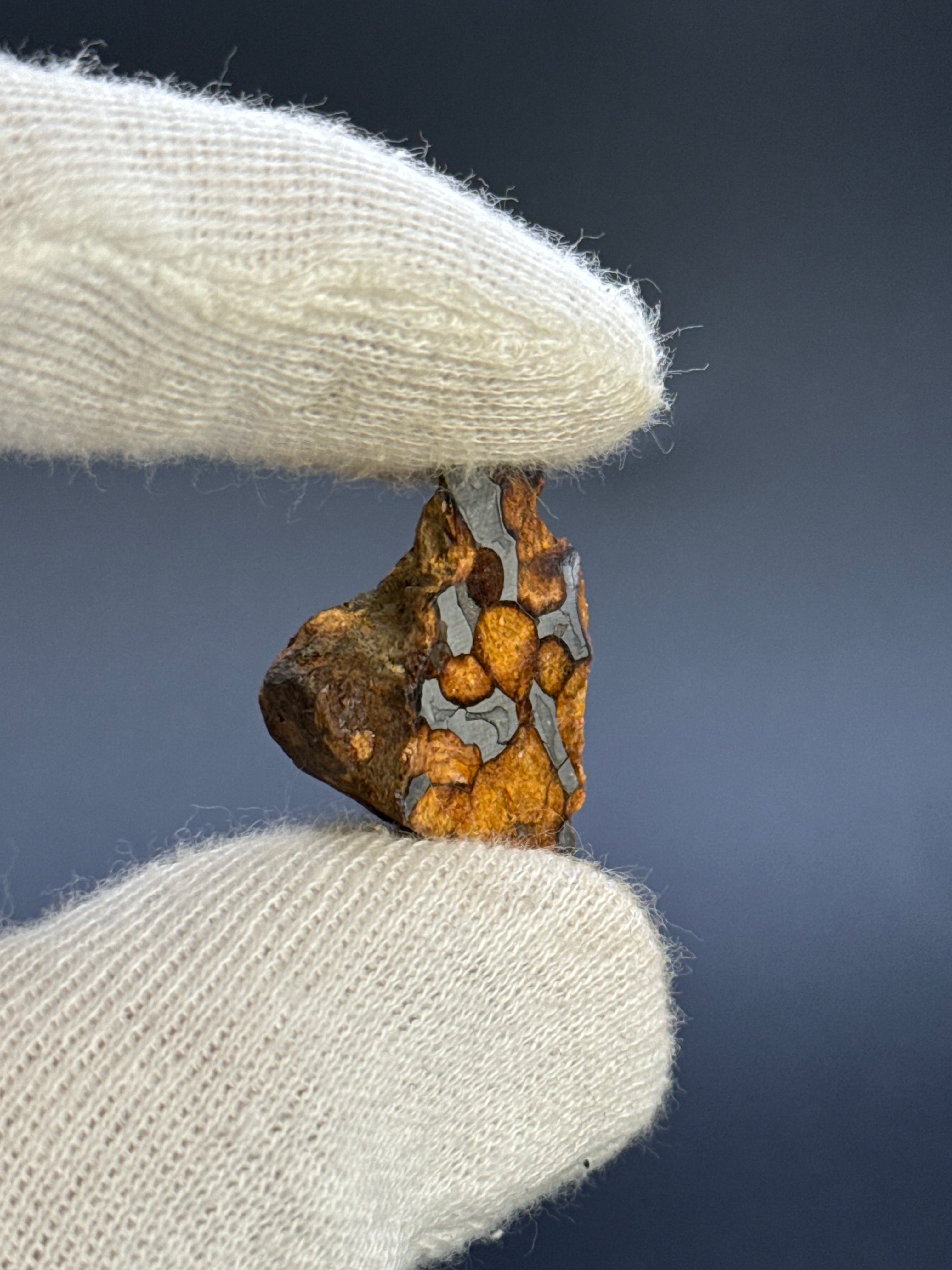 SERICHO PALLASITE METEORITE, KENYA. 14,8 GRAMS END-CUT.