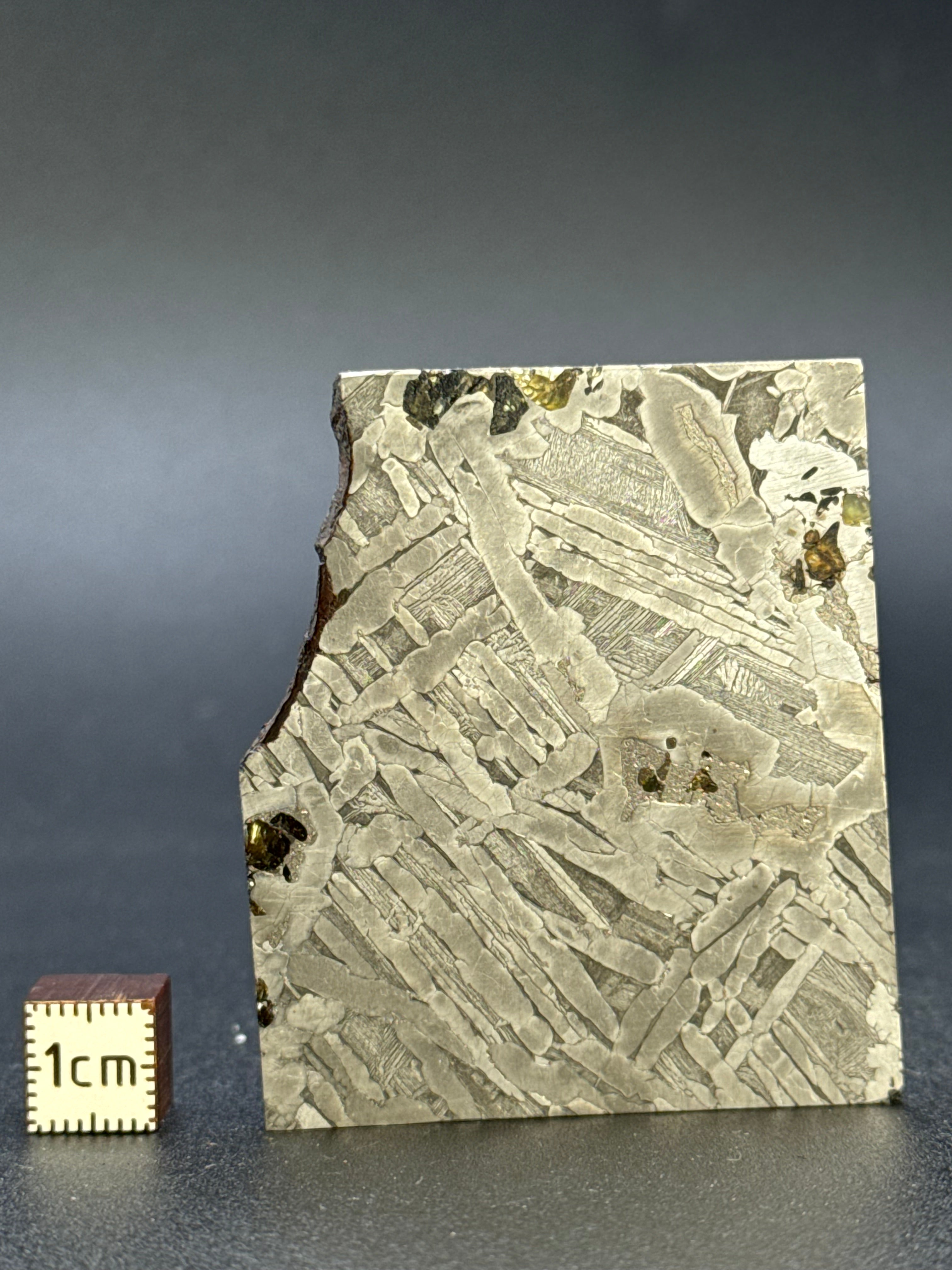 SEYMCHAN METEORITE, MAGADAN REGION, RUSSIA. 34,4 GRAMS.
