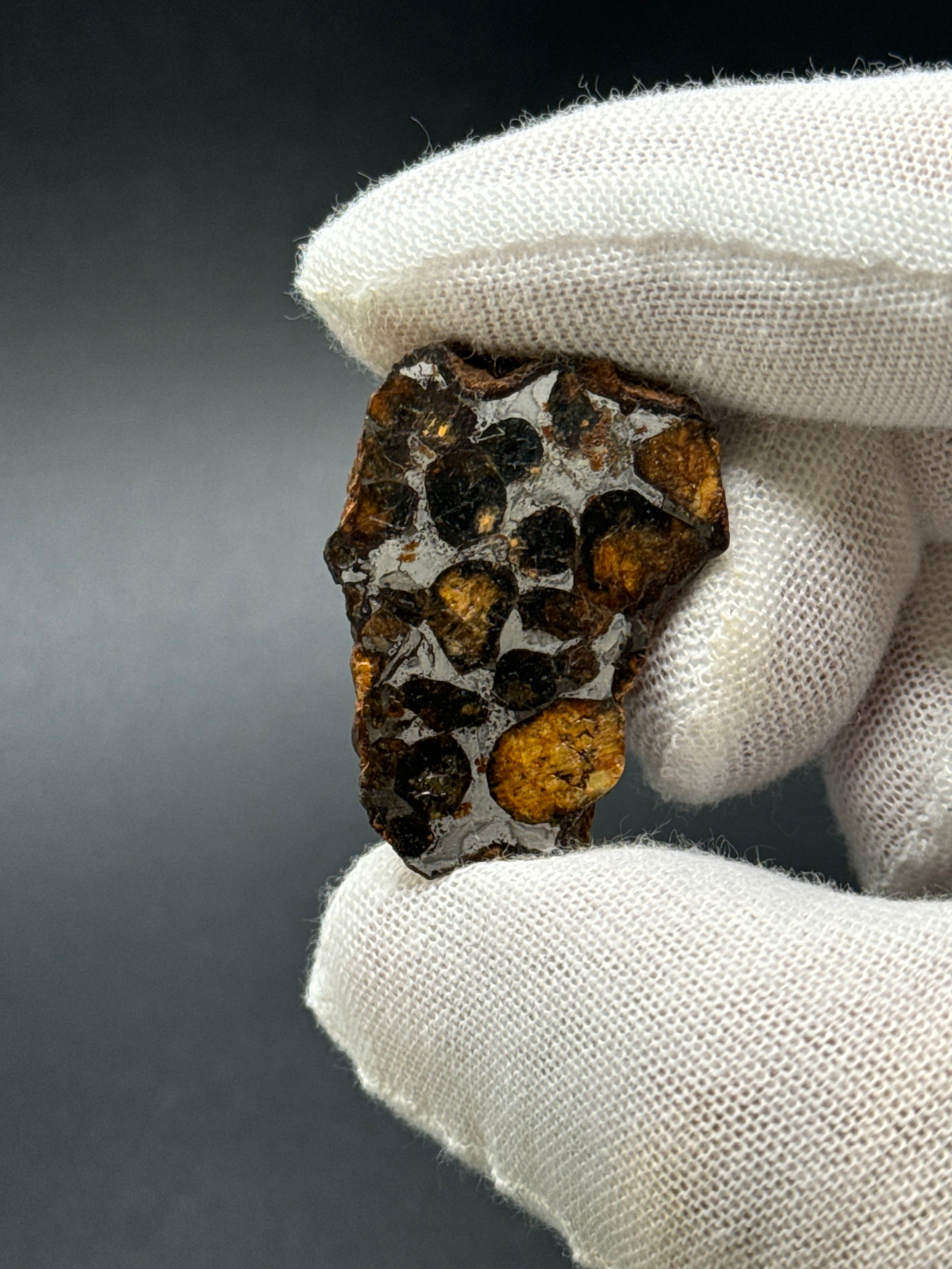 SERICHO PALLASITE METEORITE, KENYA. 15,93 GRAMS END-CUT.