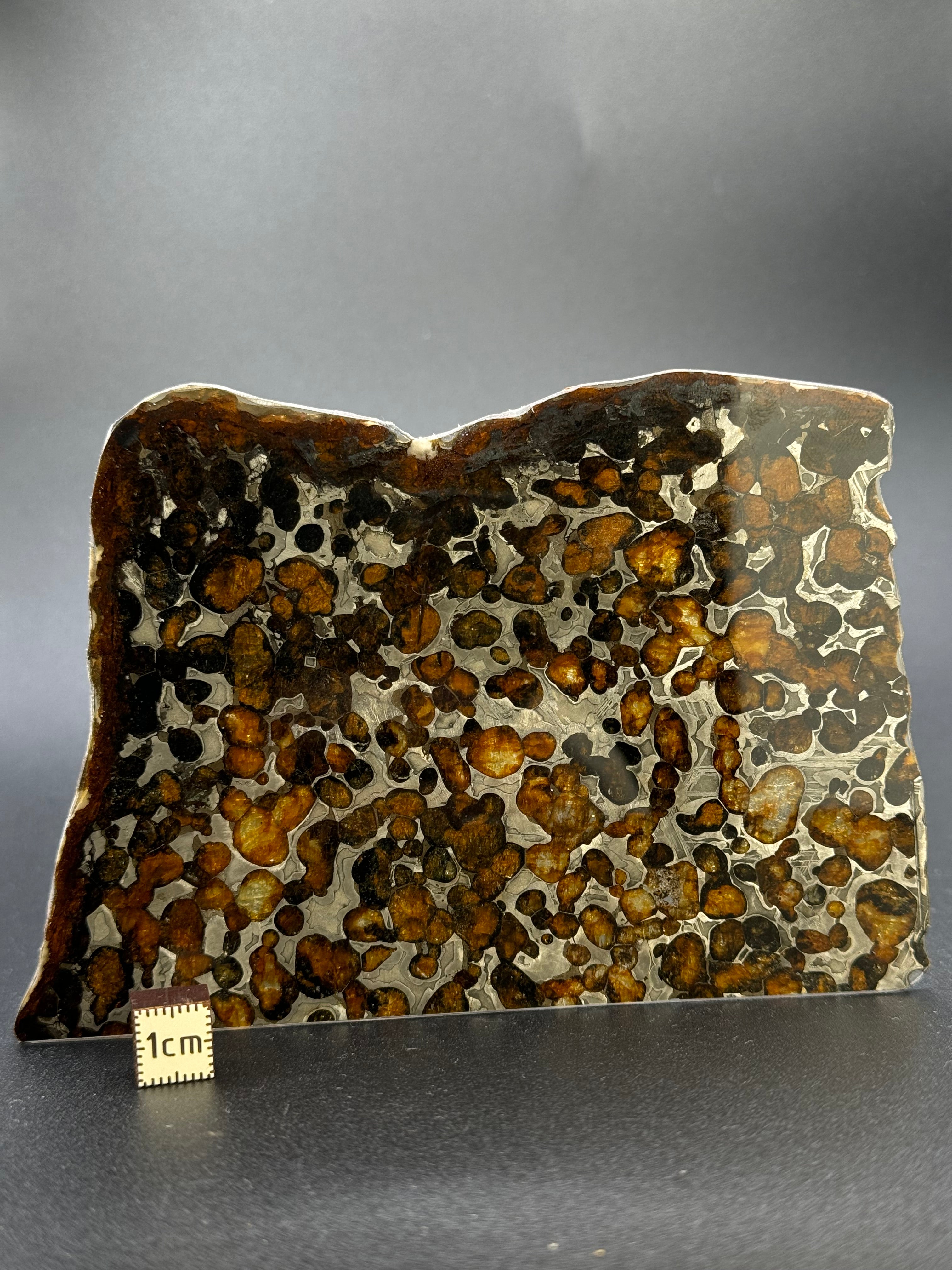 SERICHO METEORITE, KENYA. 62,07 GRAMS SLICE