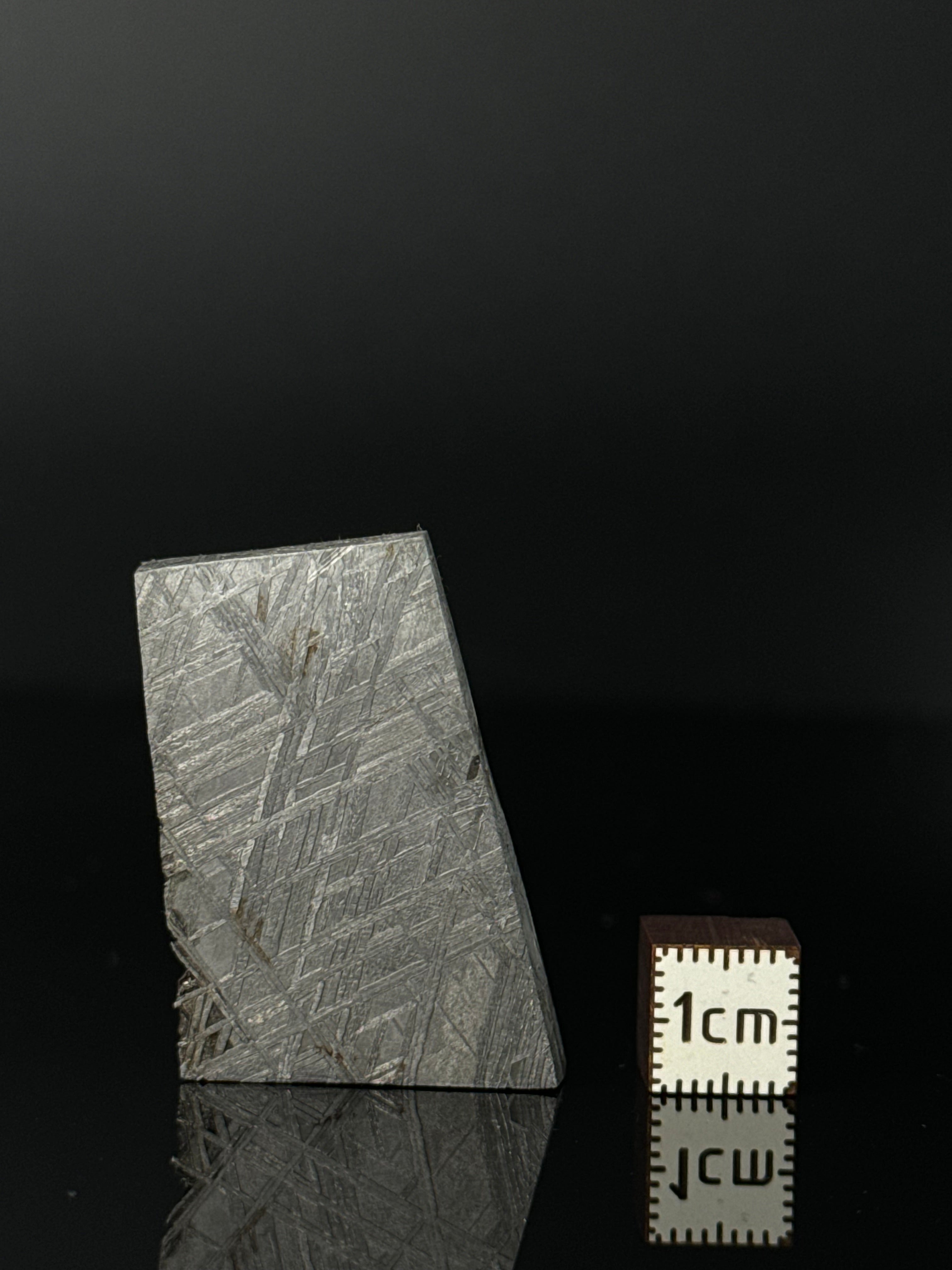 MUONIONALUSTA METEORITE, SWEDEN 42,78 GRAMS.