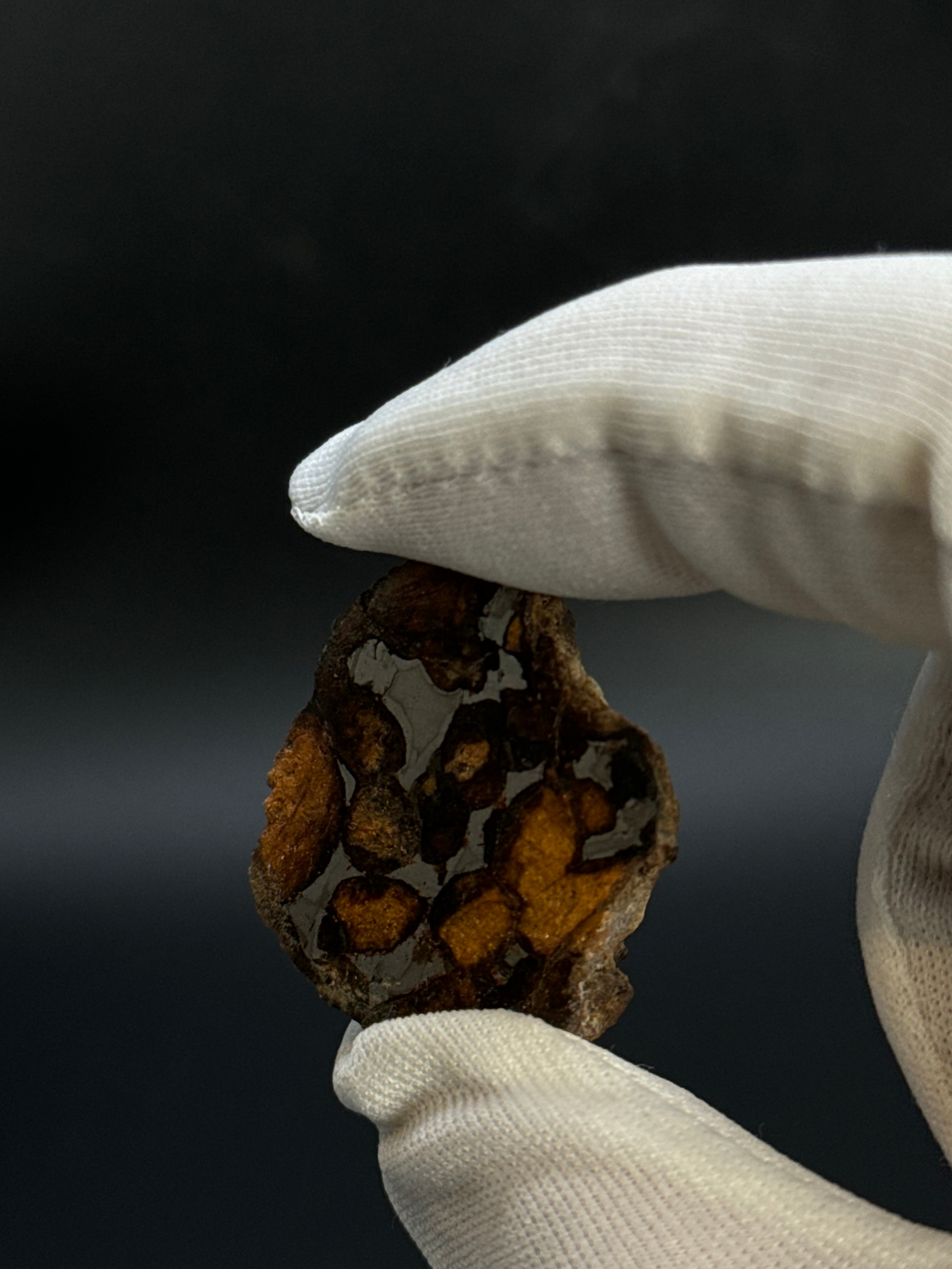 SERICHO PALLASITE METEORITE, KENYA. 17,83 GRAMS END-CUT