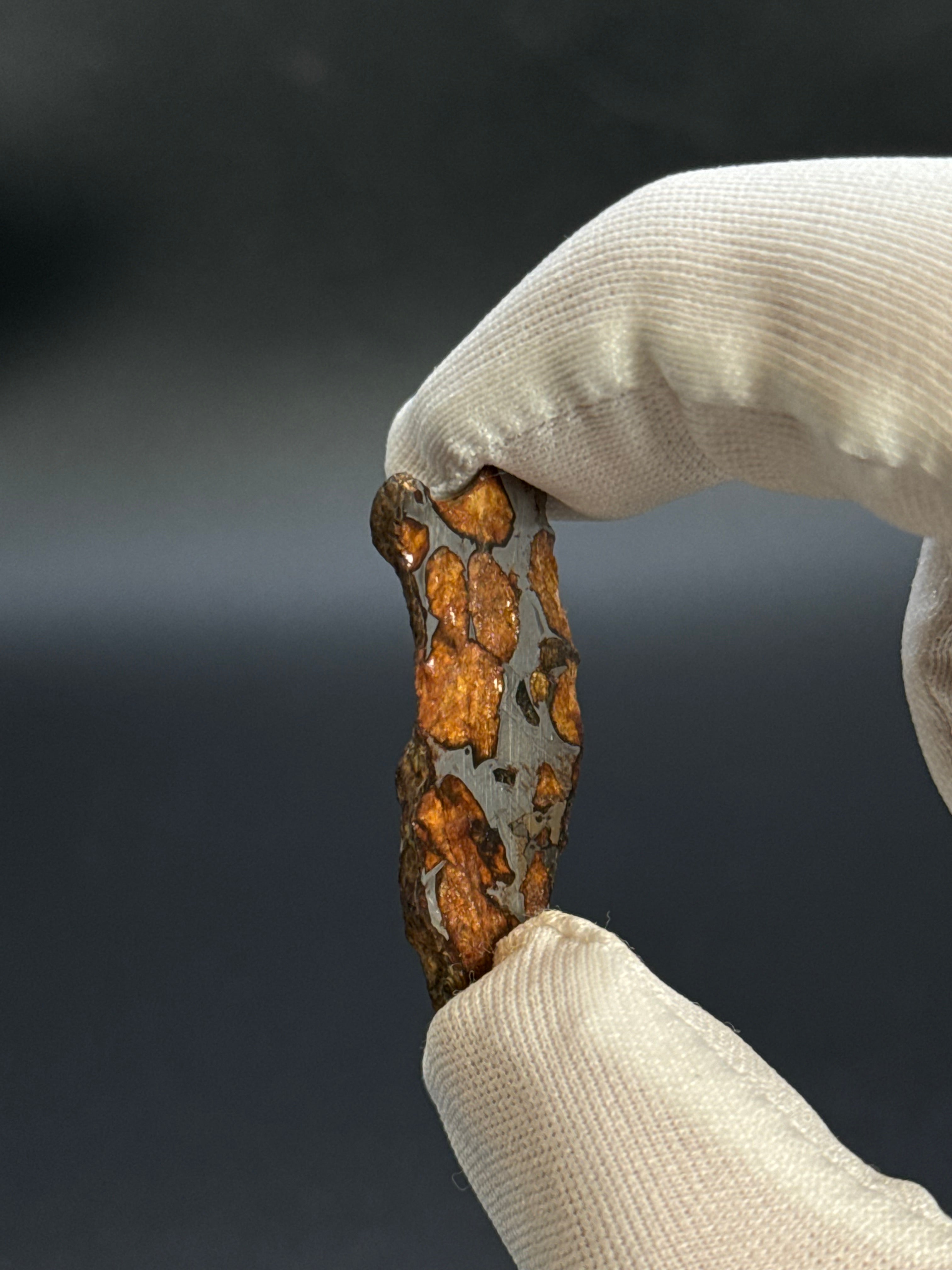 SERICHO PALLASITE METEORITE, KENYA. 7,37 GRAMS END-CUT