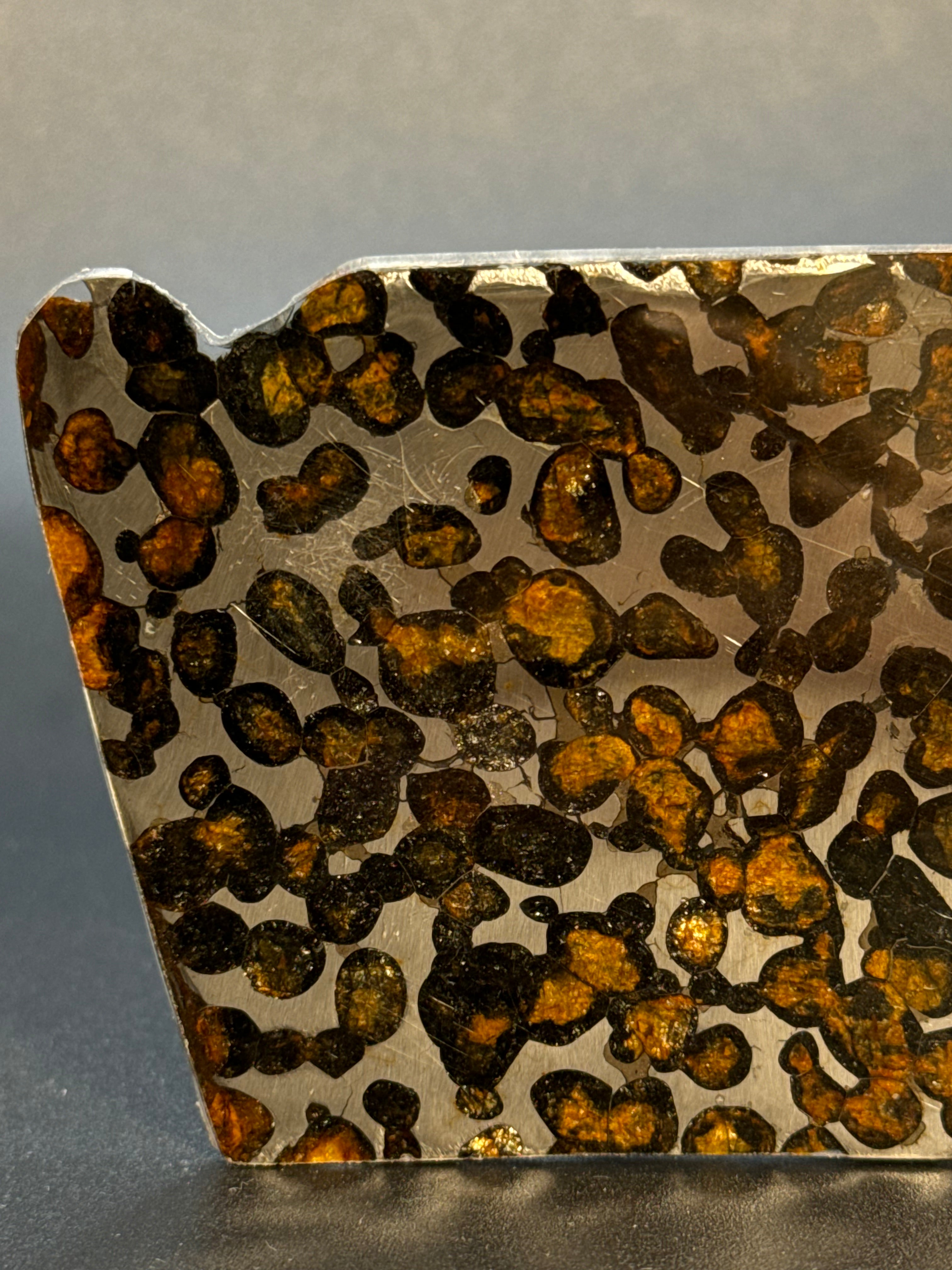 SERICHO METEORITE, KENYA. 32 GRAMS SLICE