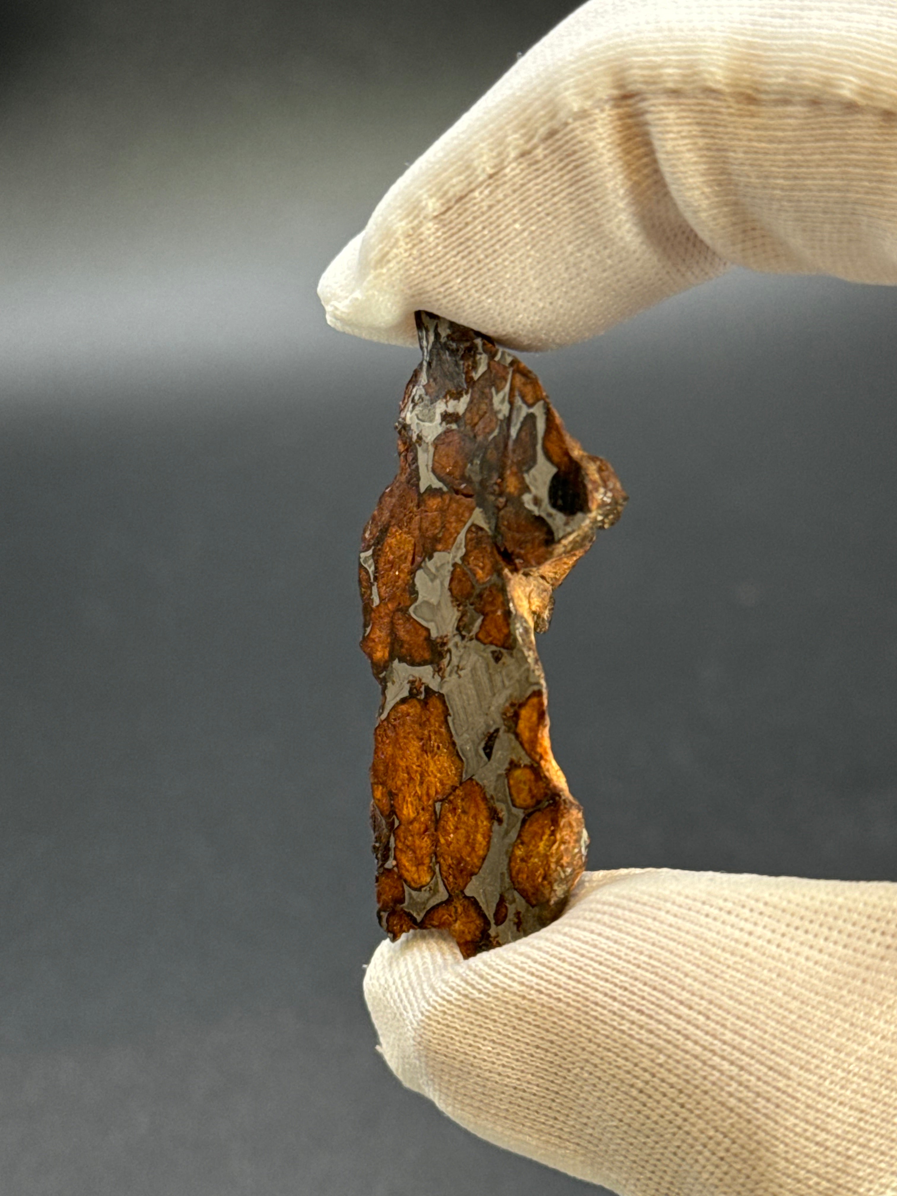 SERICHO PALLASITE METEORITE, KENYA. 15,07 GRAMS END-CUT