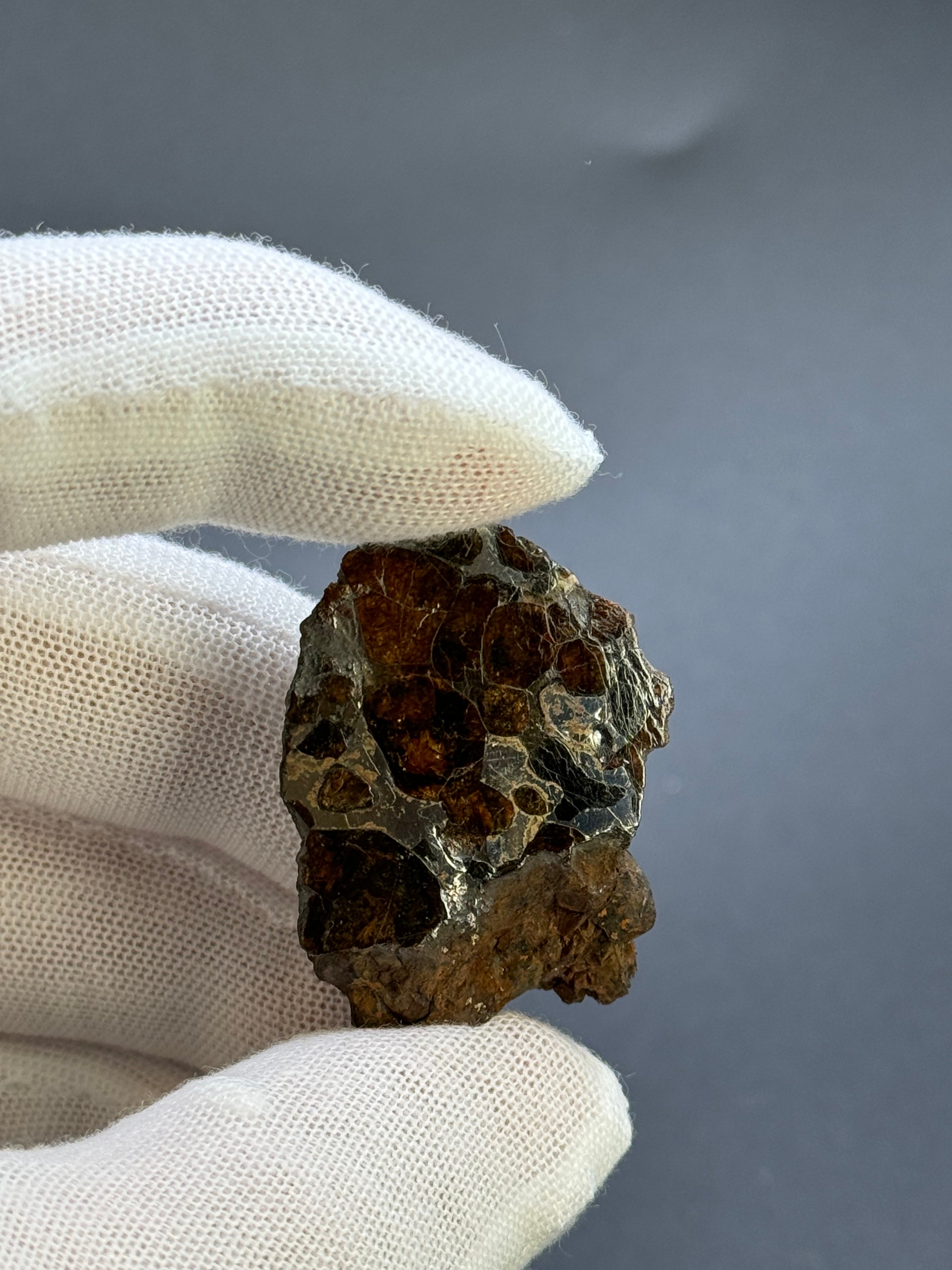 SERICHO PALLASITE METEORITE, KENYA. 24,94 GRAMS END-CUT