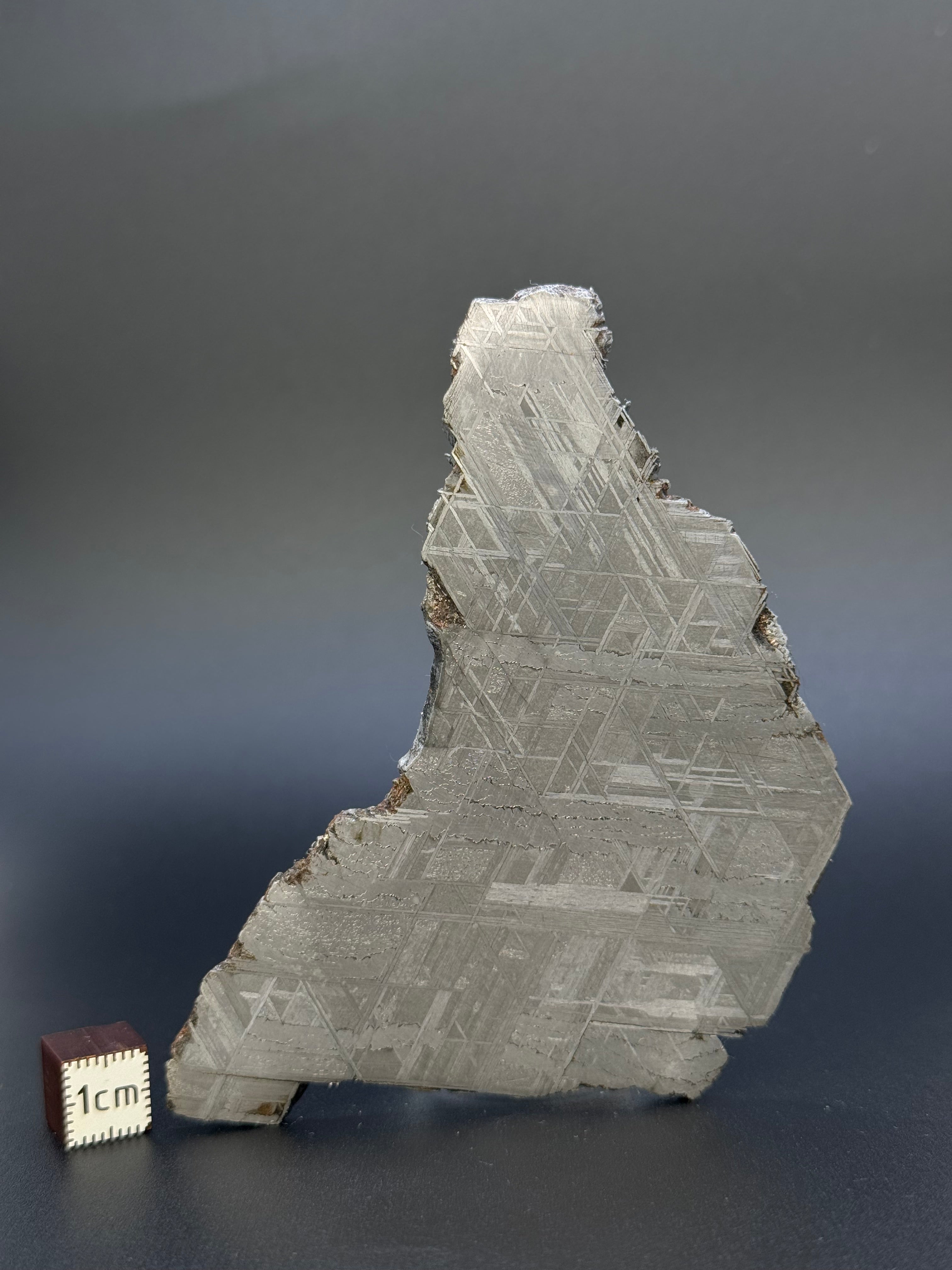 MUONIONALUSTA METEORITE, SWEDEN. 75,91 GRAMS.