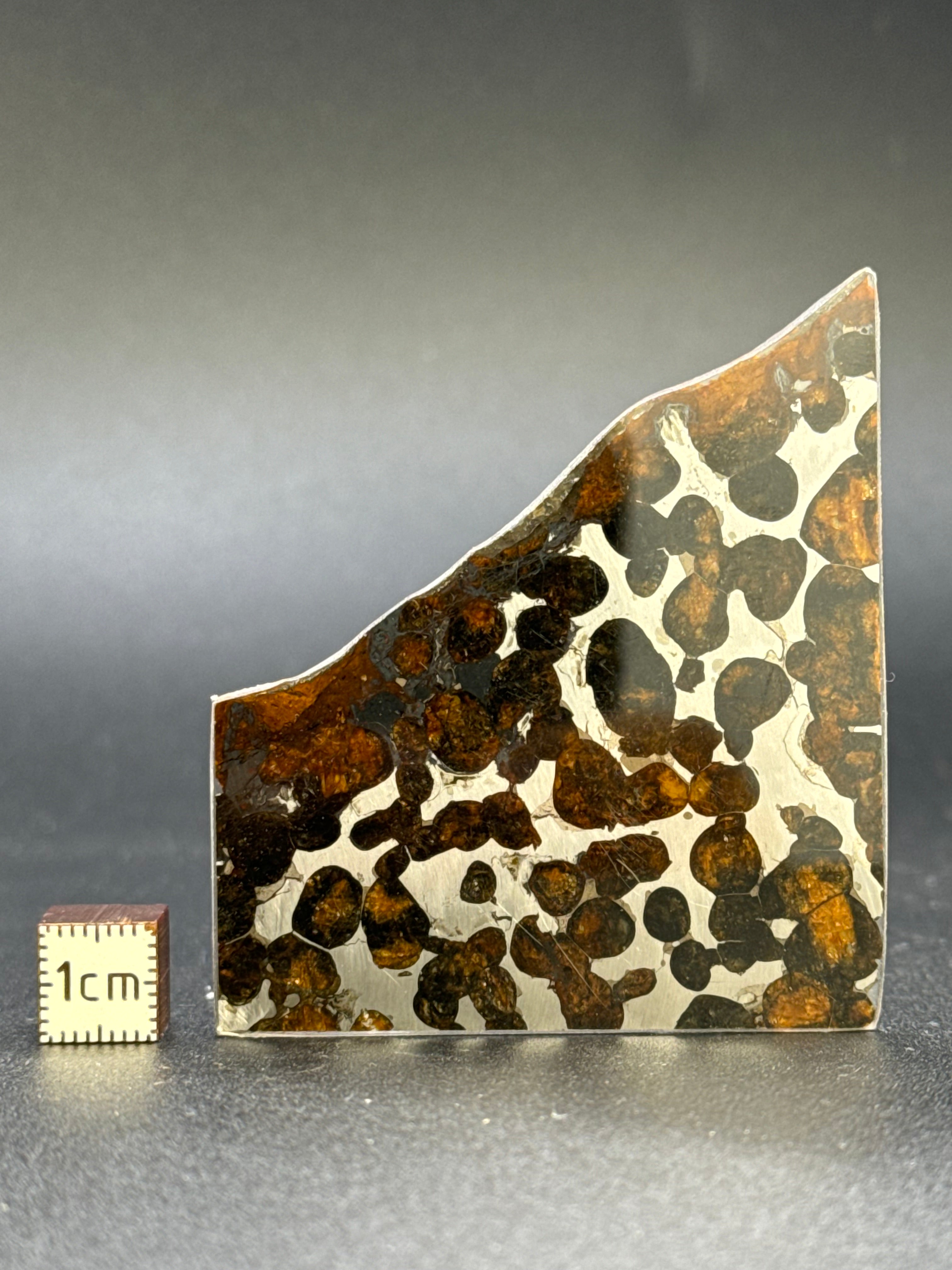 SERICHO METEORITE, KENYA. 11,39 GRAMS.