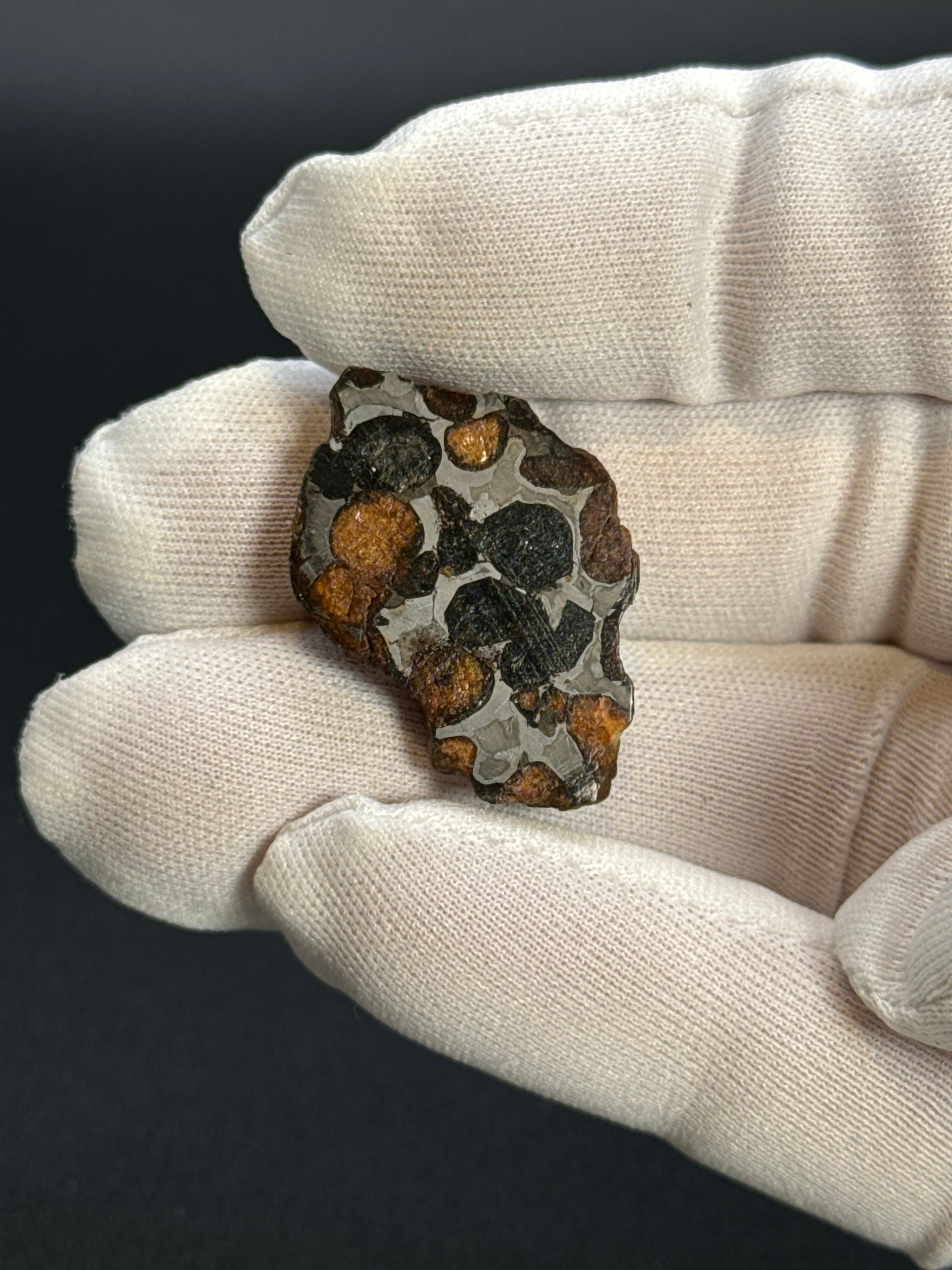 SERICHO PALLASITE METEORITE, KENYA. 10,40 GRAMS END-CUT