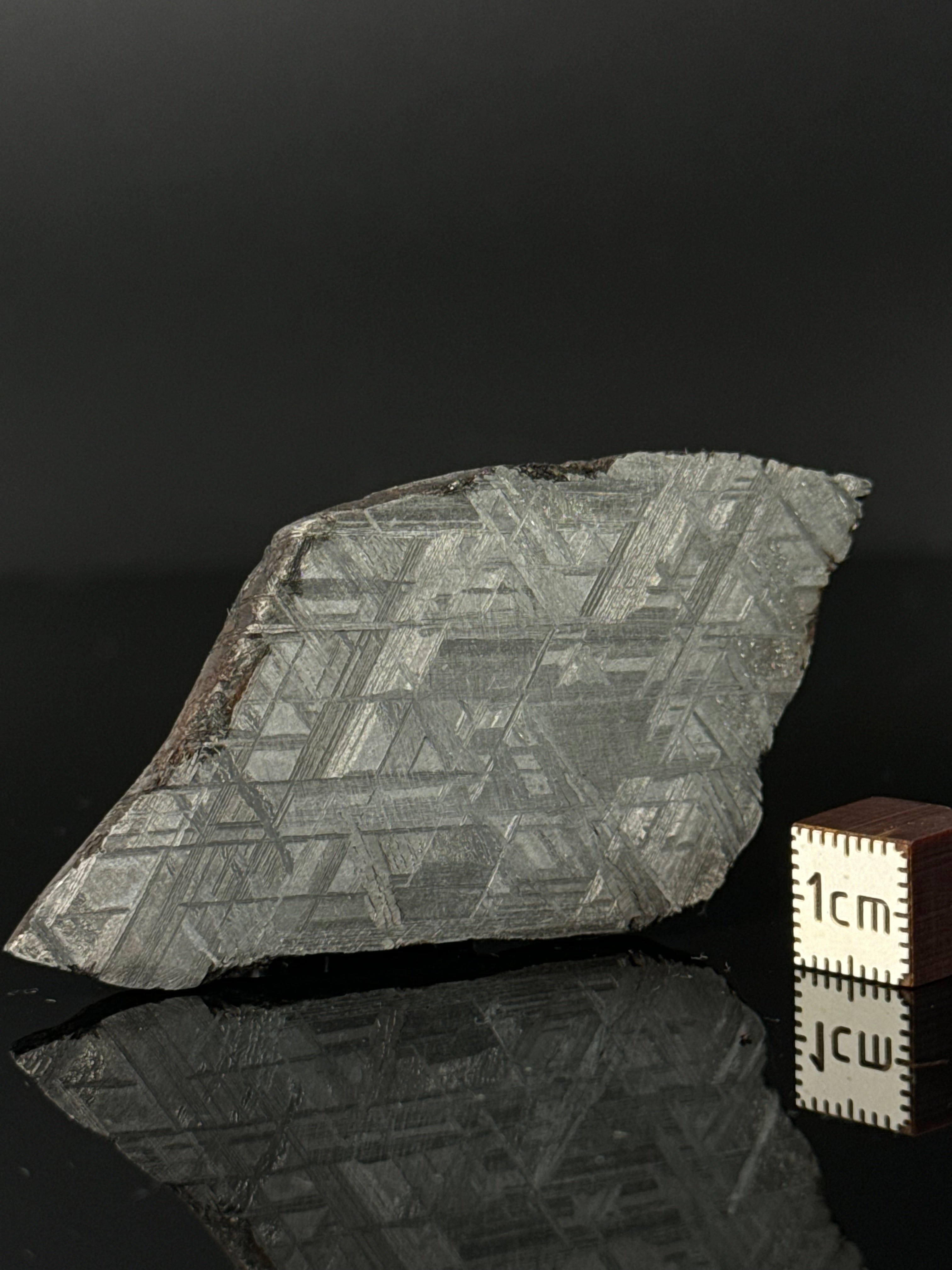 MUONIONALUSTA METEORITE, SWEDEN 42,28 GRAMS.