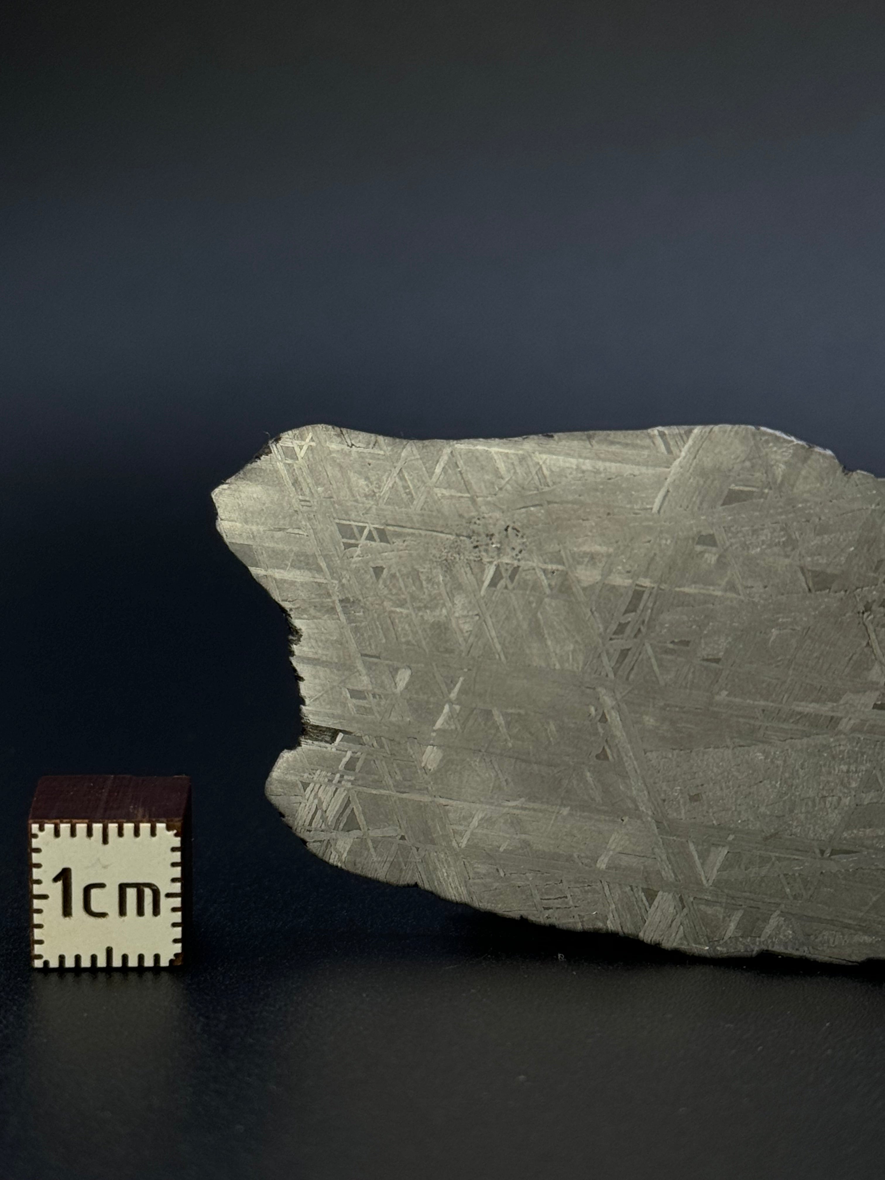 MUONIONALUSTA METEORITE, SWEDEN. 49,18 GRAMS.