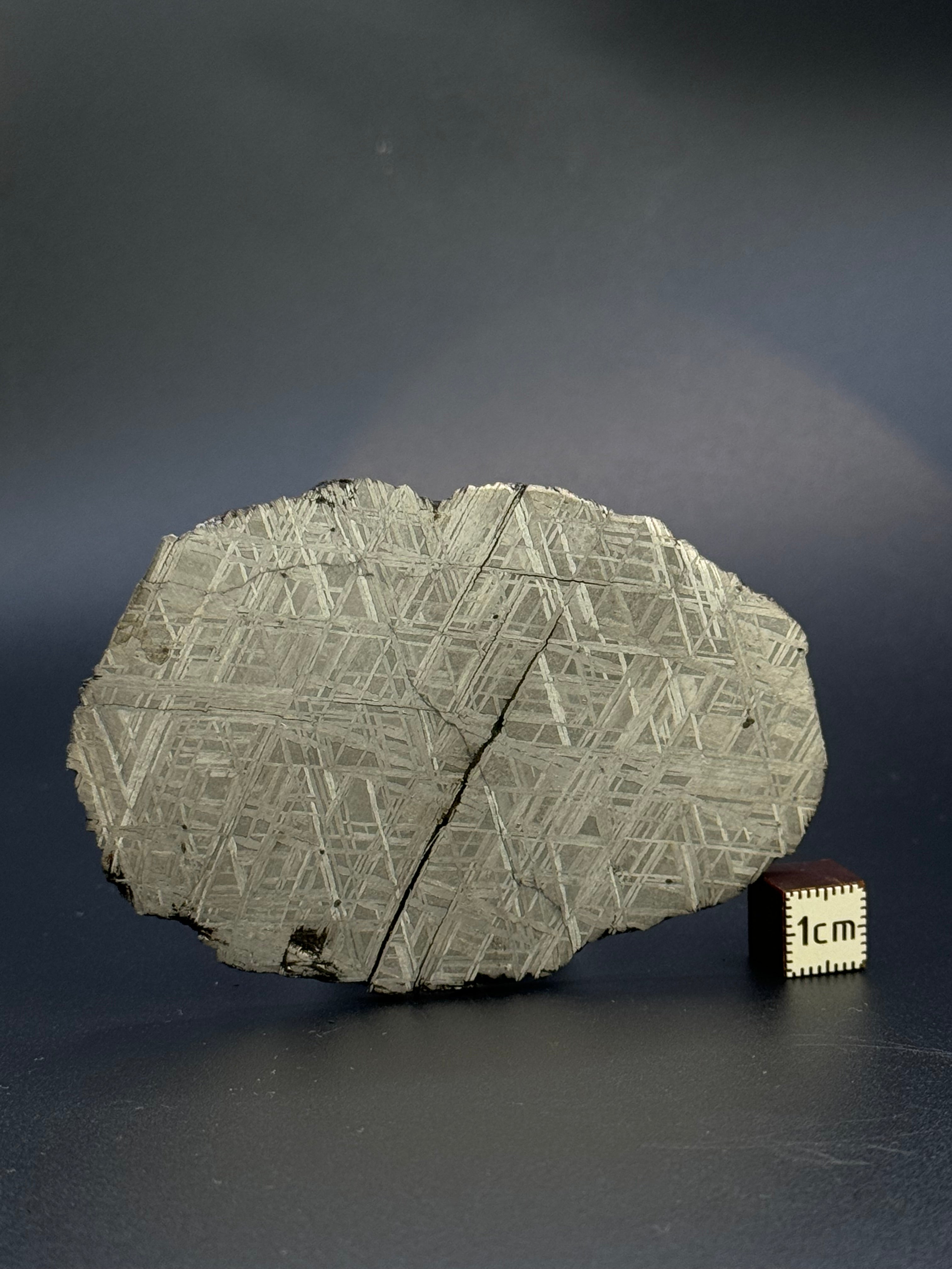 MUONIONALUSTA METEORITE, SWEDEN. 86 GRAMS.