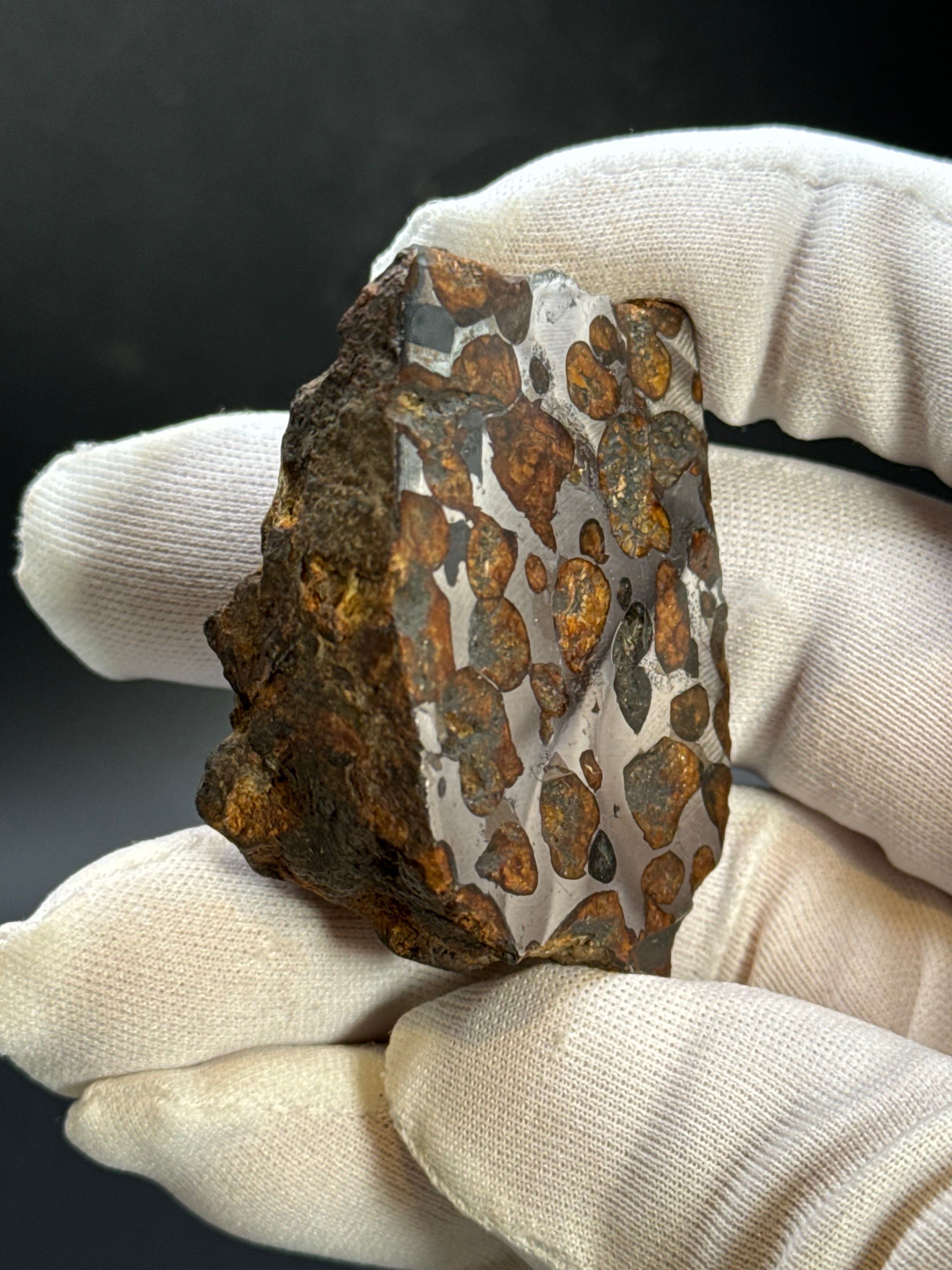 SERICHO PALLASITE METEORITE, KENYA. 92,90 GRAMS END-CUT.