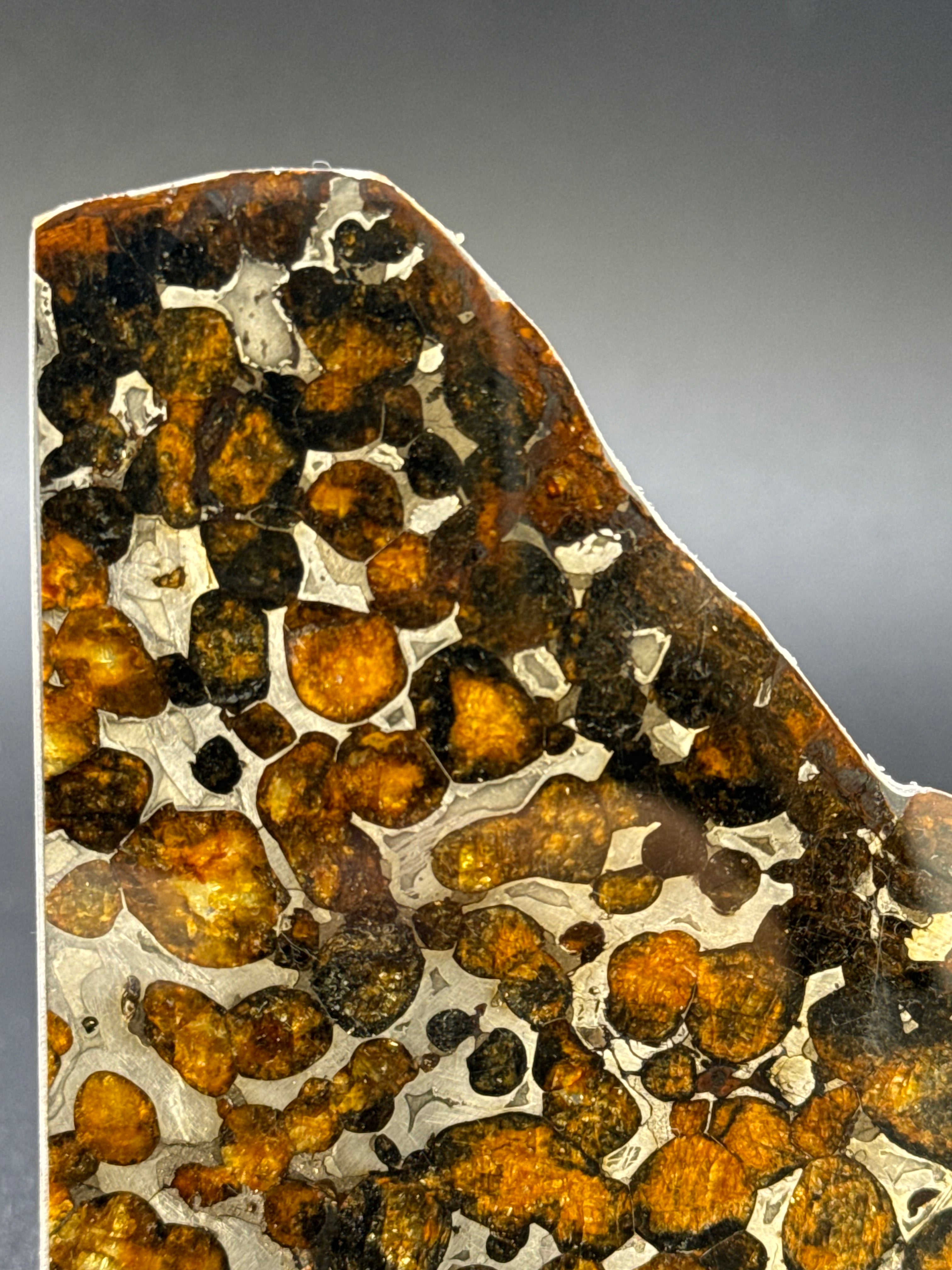 SERICHO METEORITE, KENYA. 23 GRAMS.