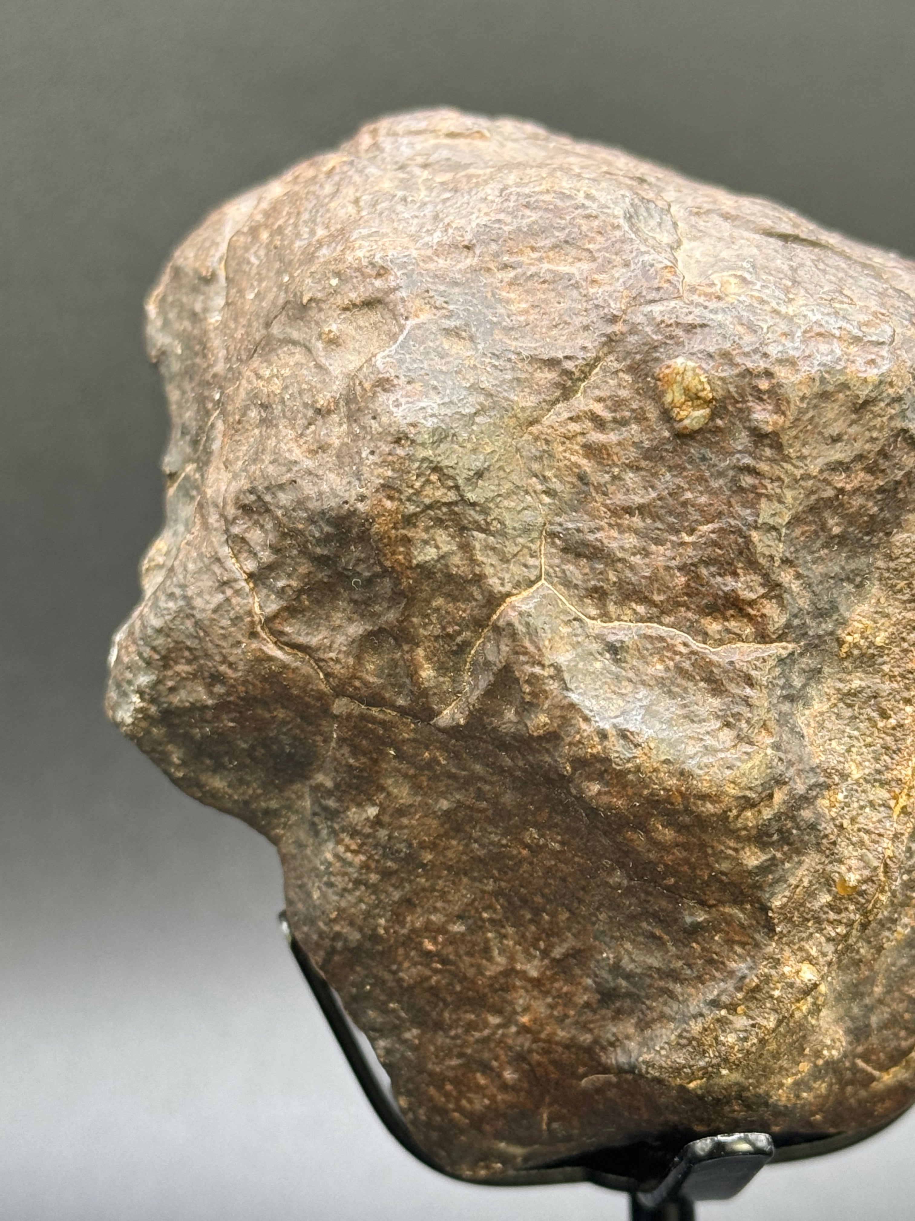 CHONDRITE METEORITE, NORTH WEST AFRICA. 368 GRAMS.