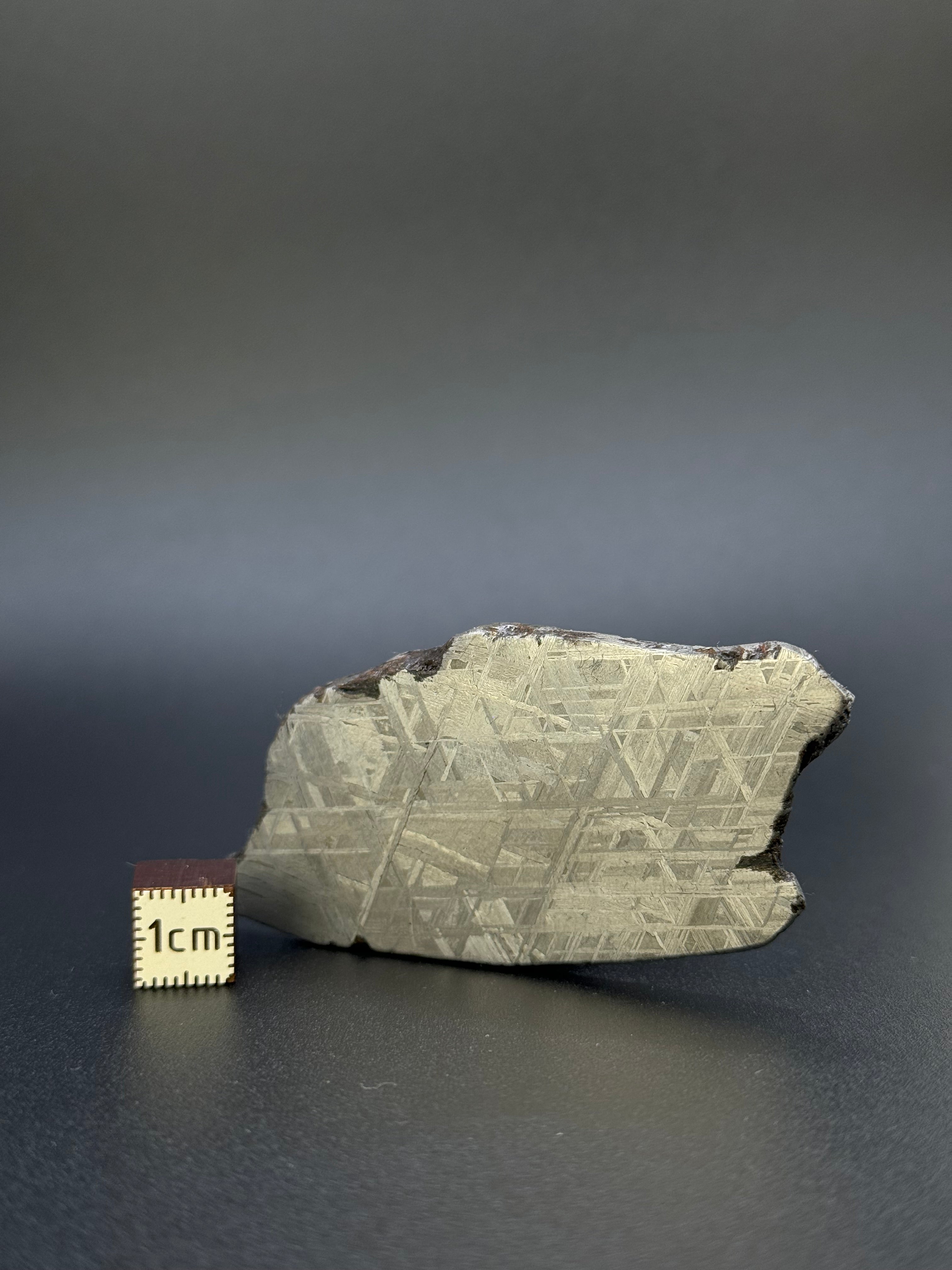 MUONIONALUSTA METEORITE, SWEDEN. 49,18 GRAMS.