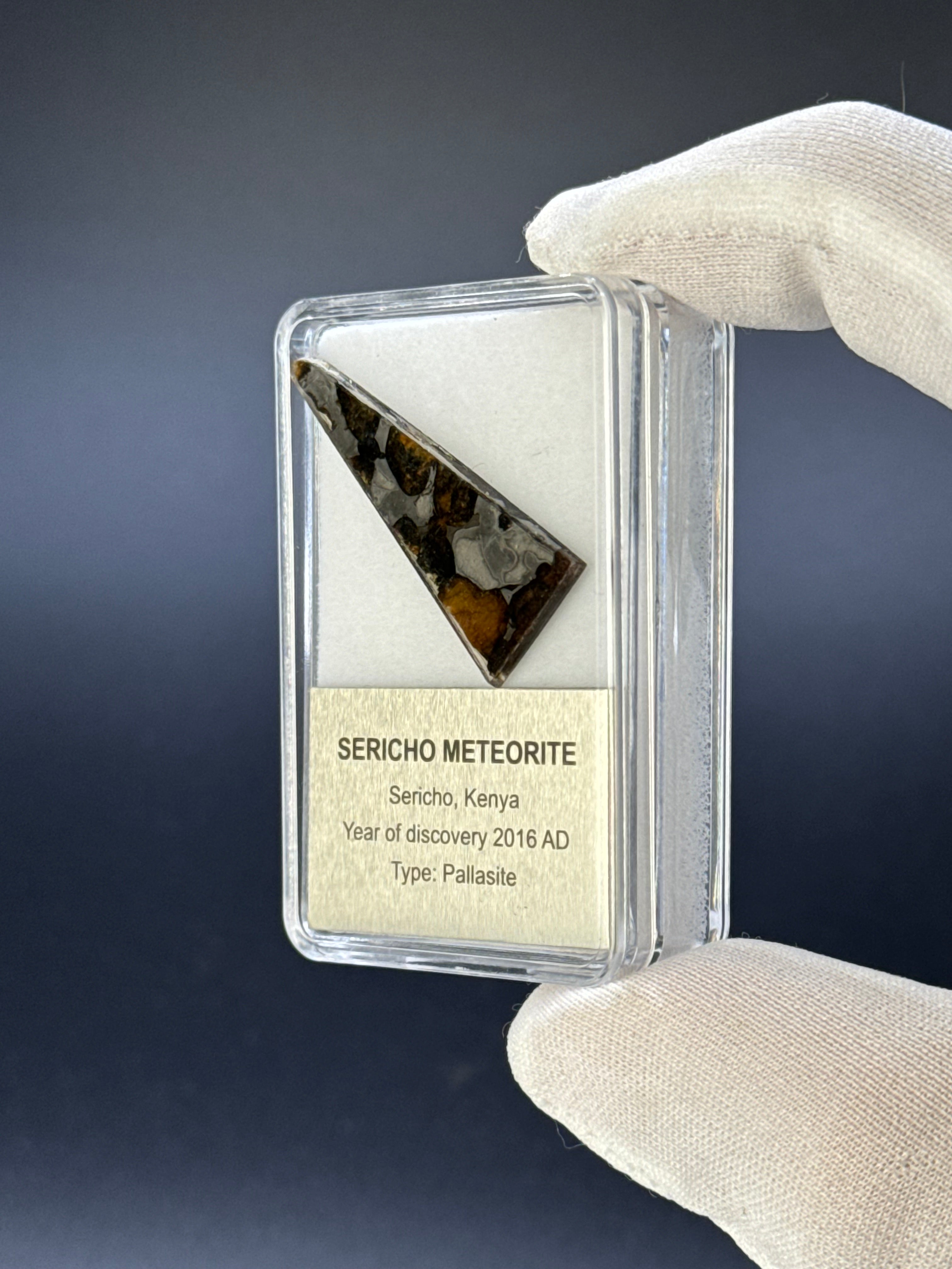 SERICHO METEORITE, KENYA. DISPLAY BOX. 3,9 GRAMS.