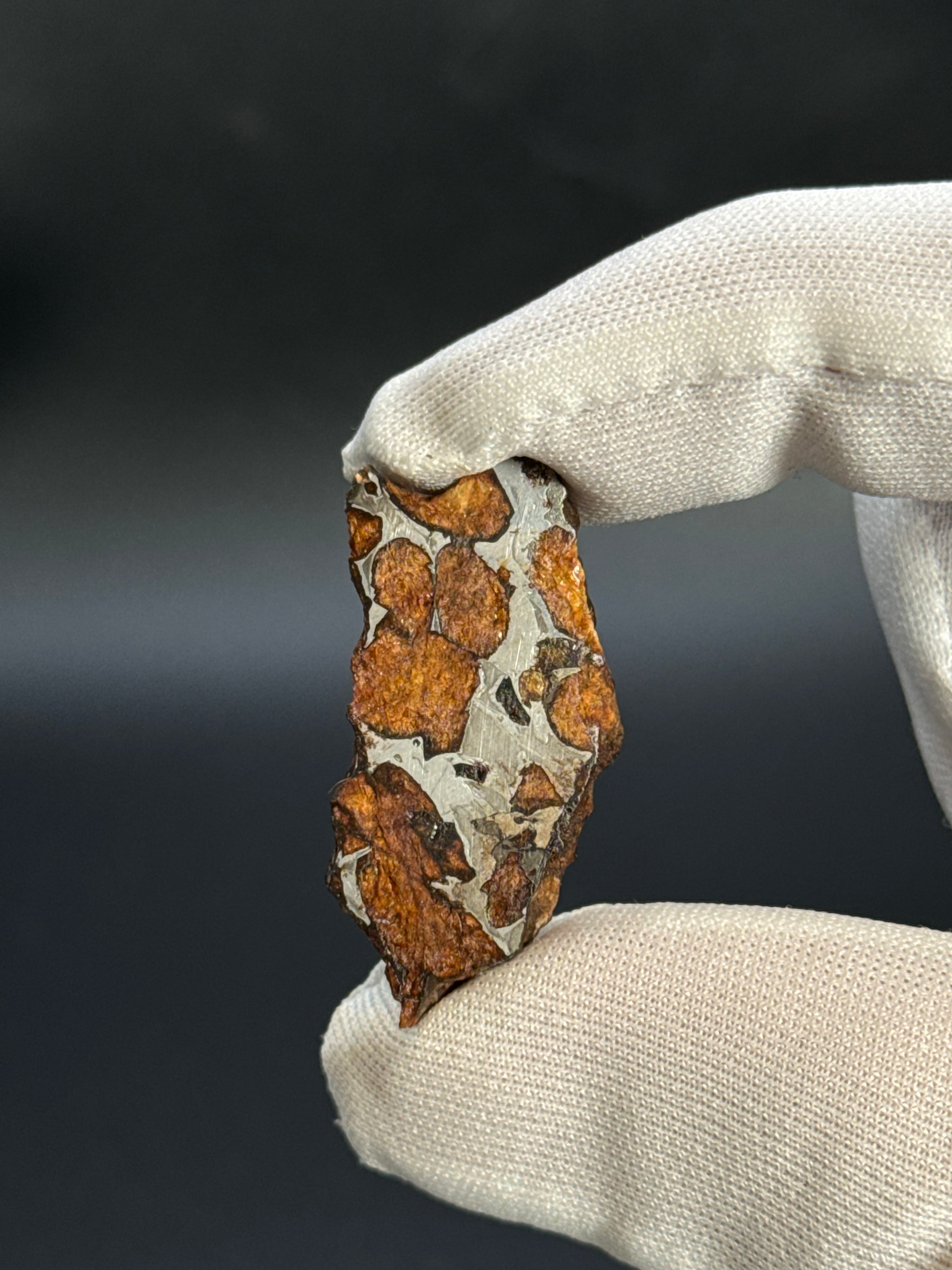 SERICHO PALLASITE METEORITE, KENYA. 7,37 GRAMS END-CUT