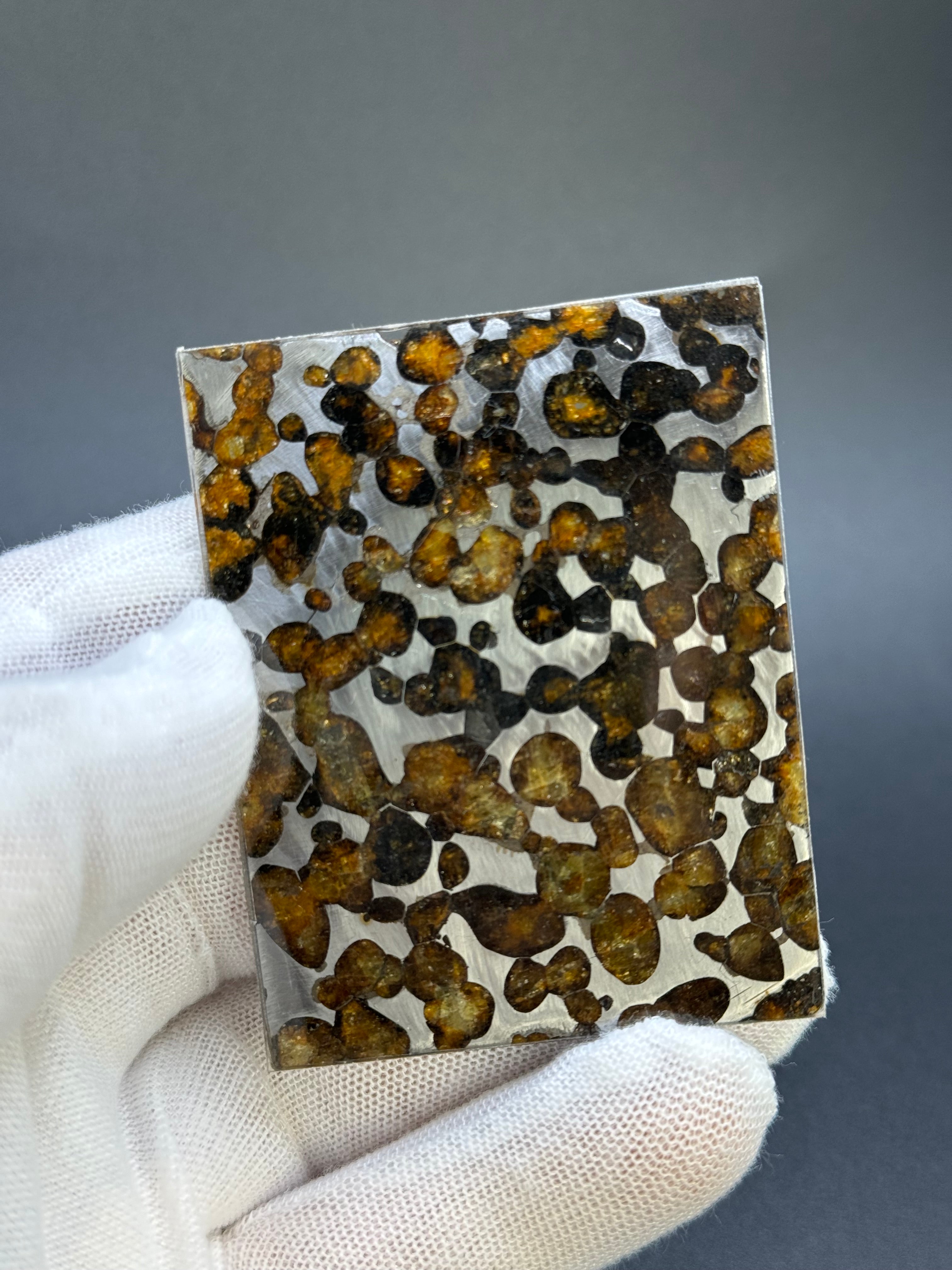 SERICHO METEORITE, KENYA. 26,10 GRAMS SLICE