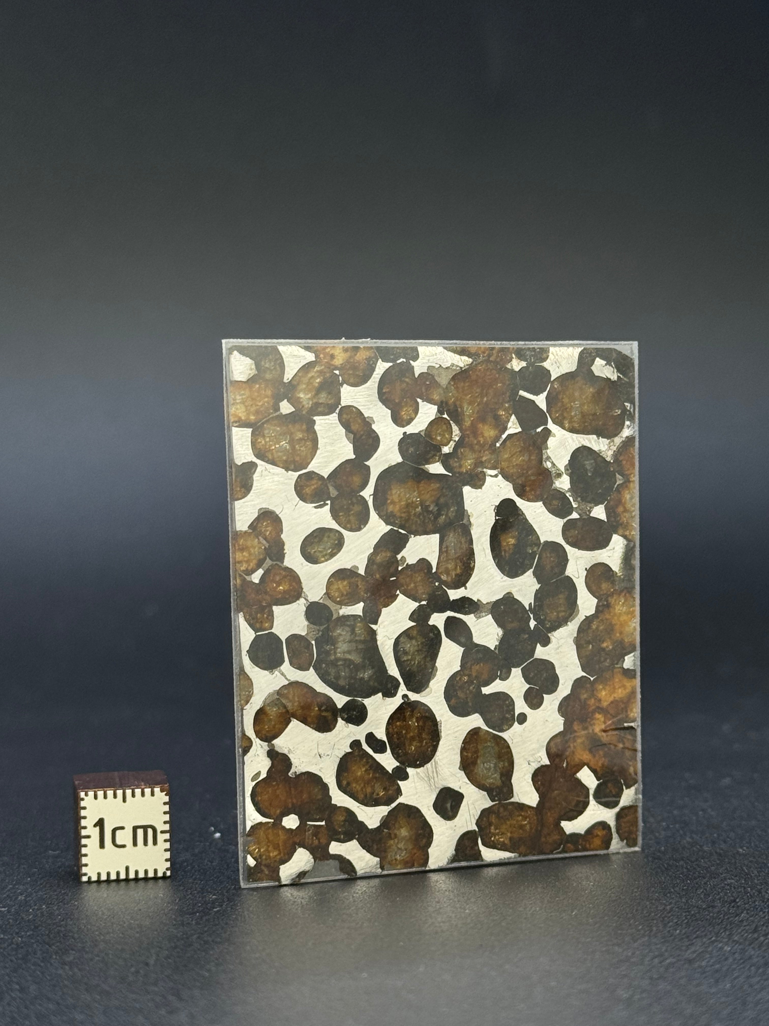 SERICHO METEORITE, KENYA. 13,5 GRAMS.
