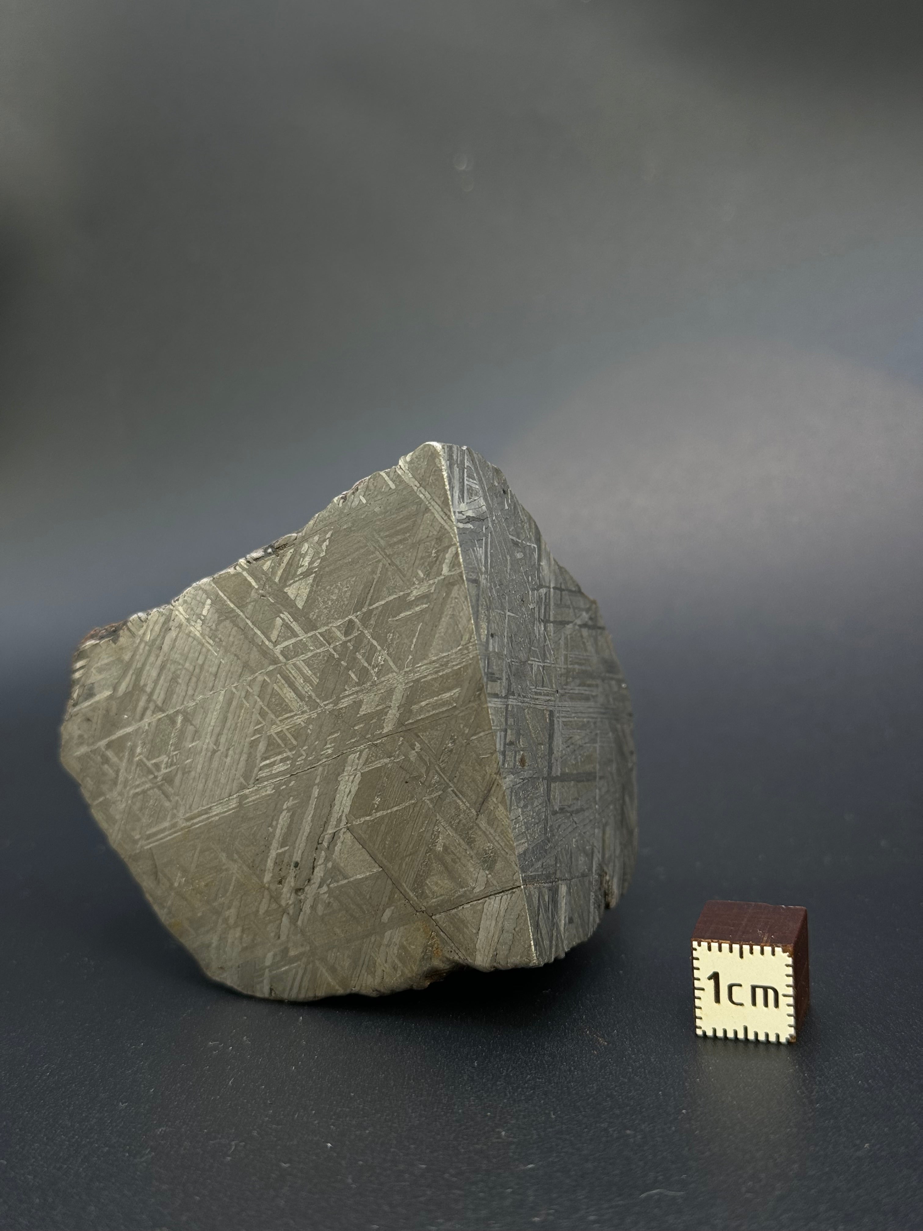 MUONIONALUSTA METEORITE, SWEDEN. 487 GRAMS END-CUT.