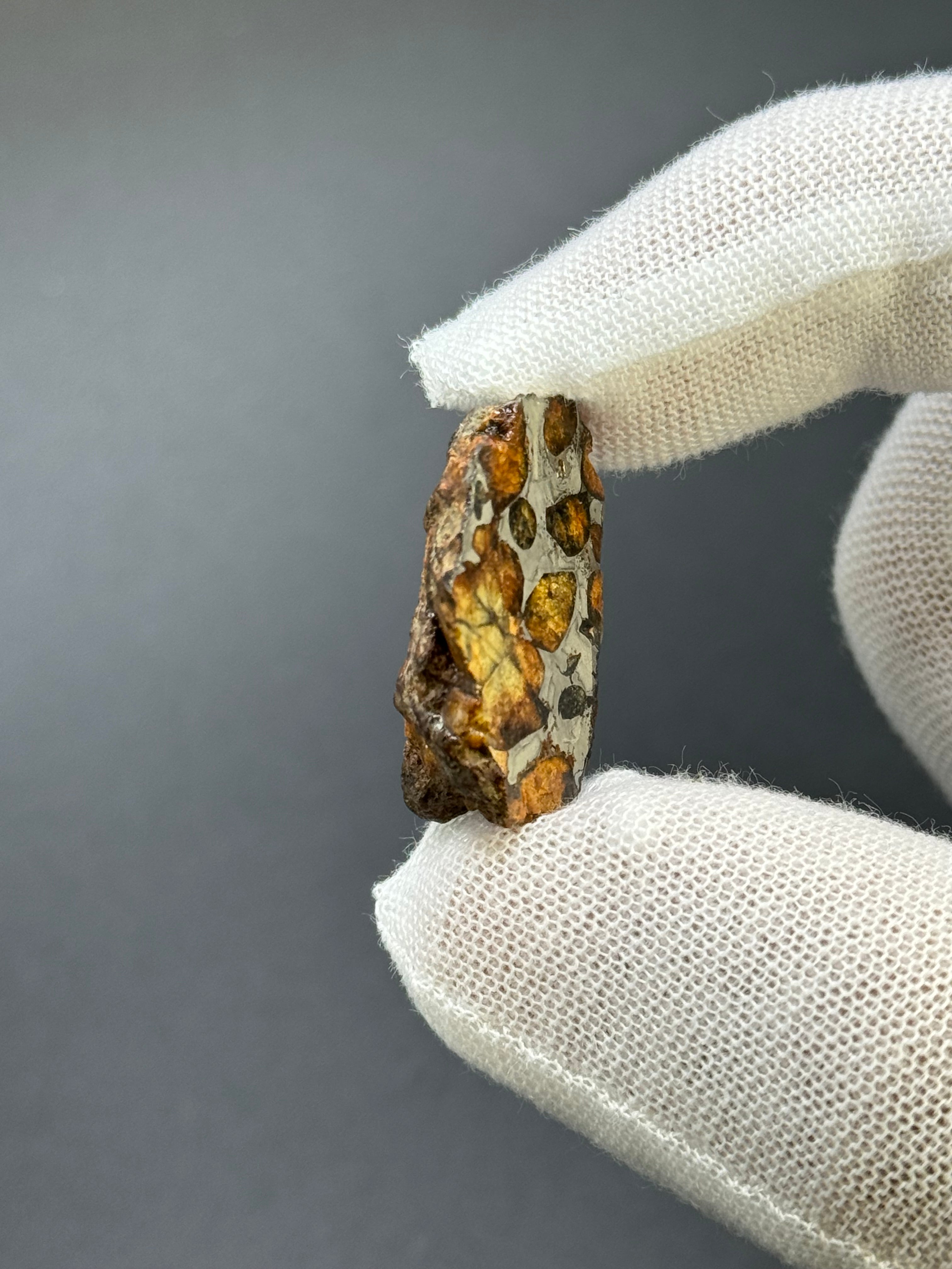 SERICHO PALLASITE METEORITE, KENYA. 9,56 GRAMS END-CUT