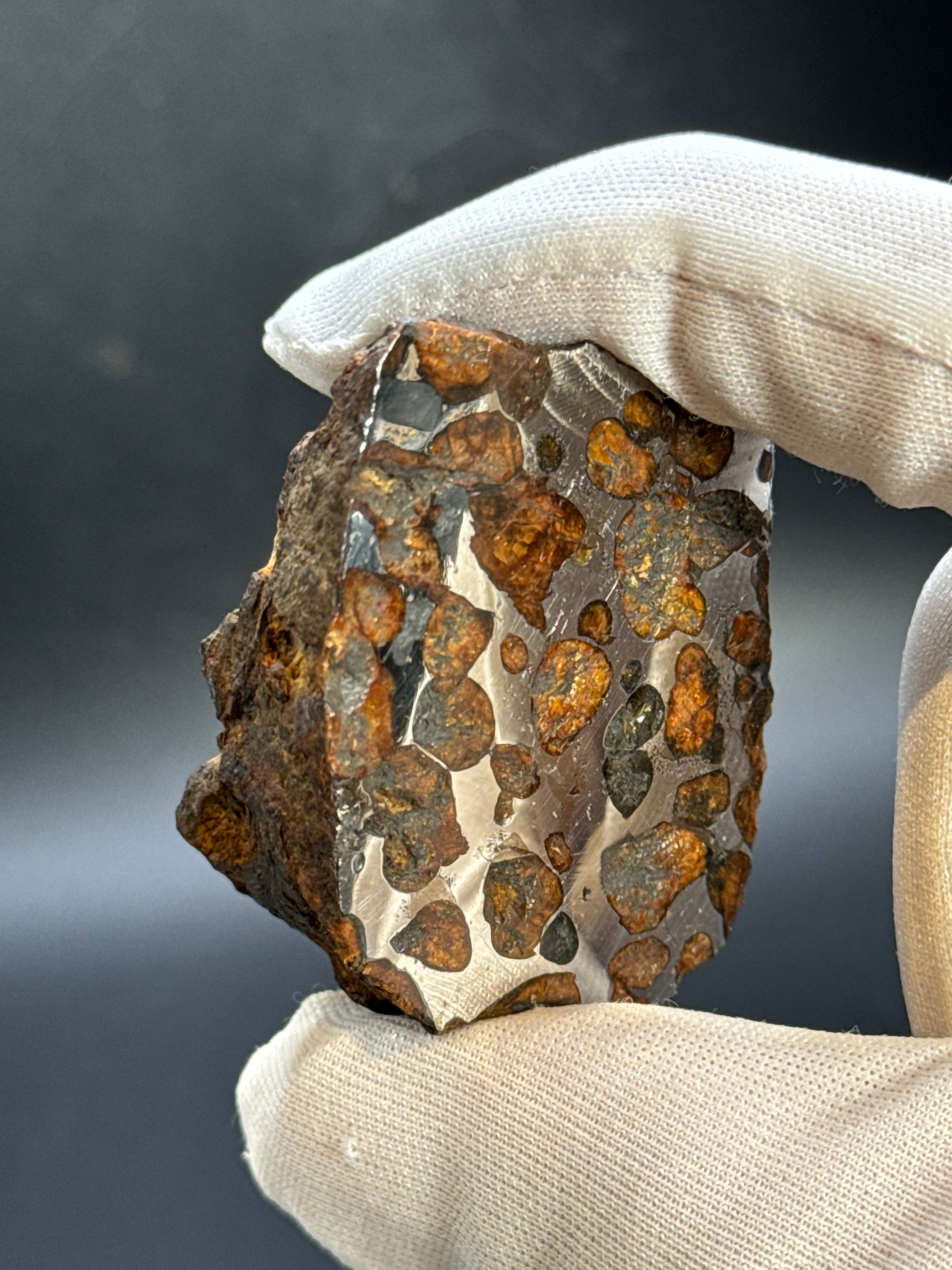 SERICHO PALLASITE METEORITE, KENYA. 92,90 GRAMS END-CUT.
