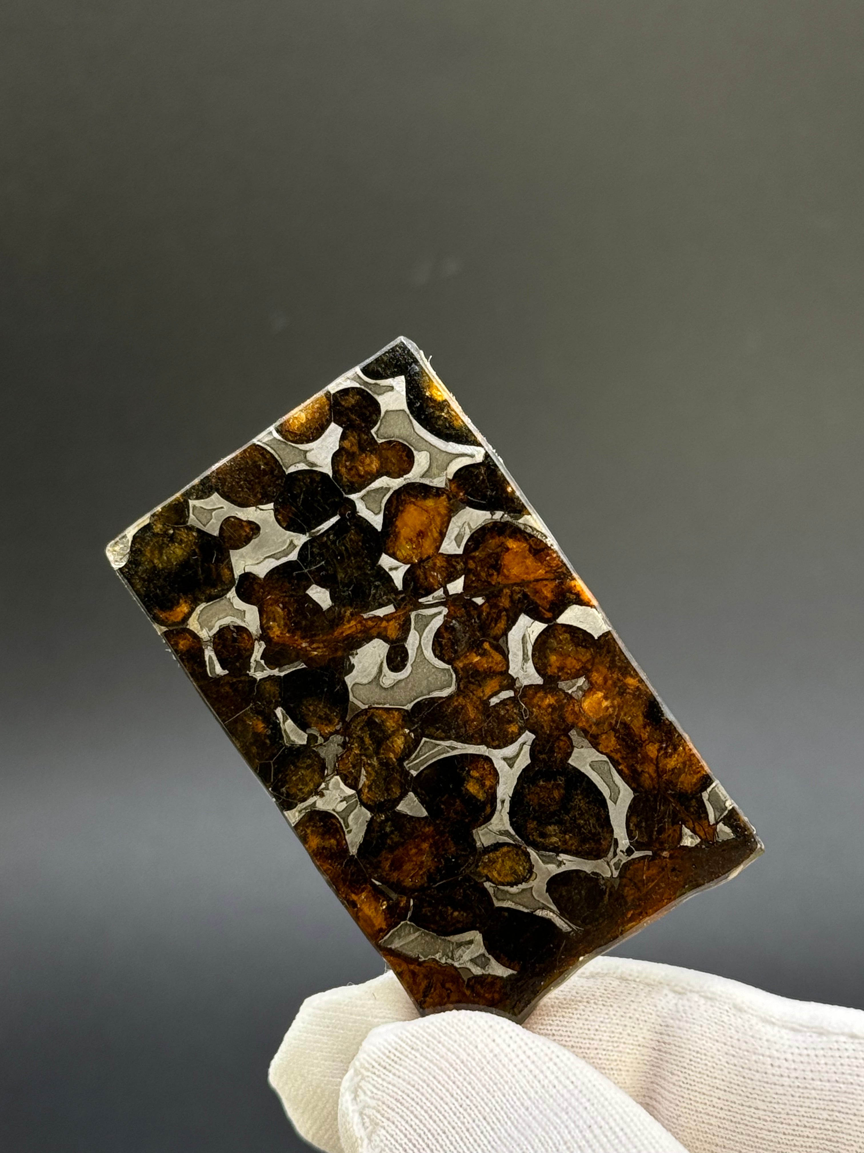 SERICHO METEORITE, KENYA. 11,13 GRAMS SLICE