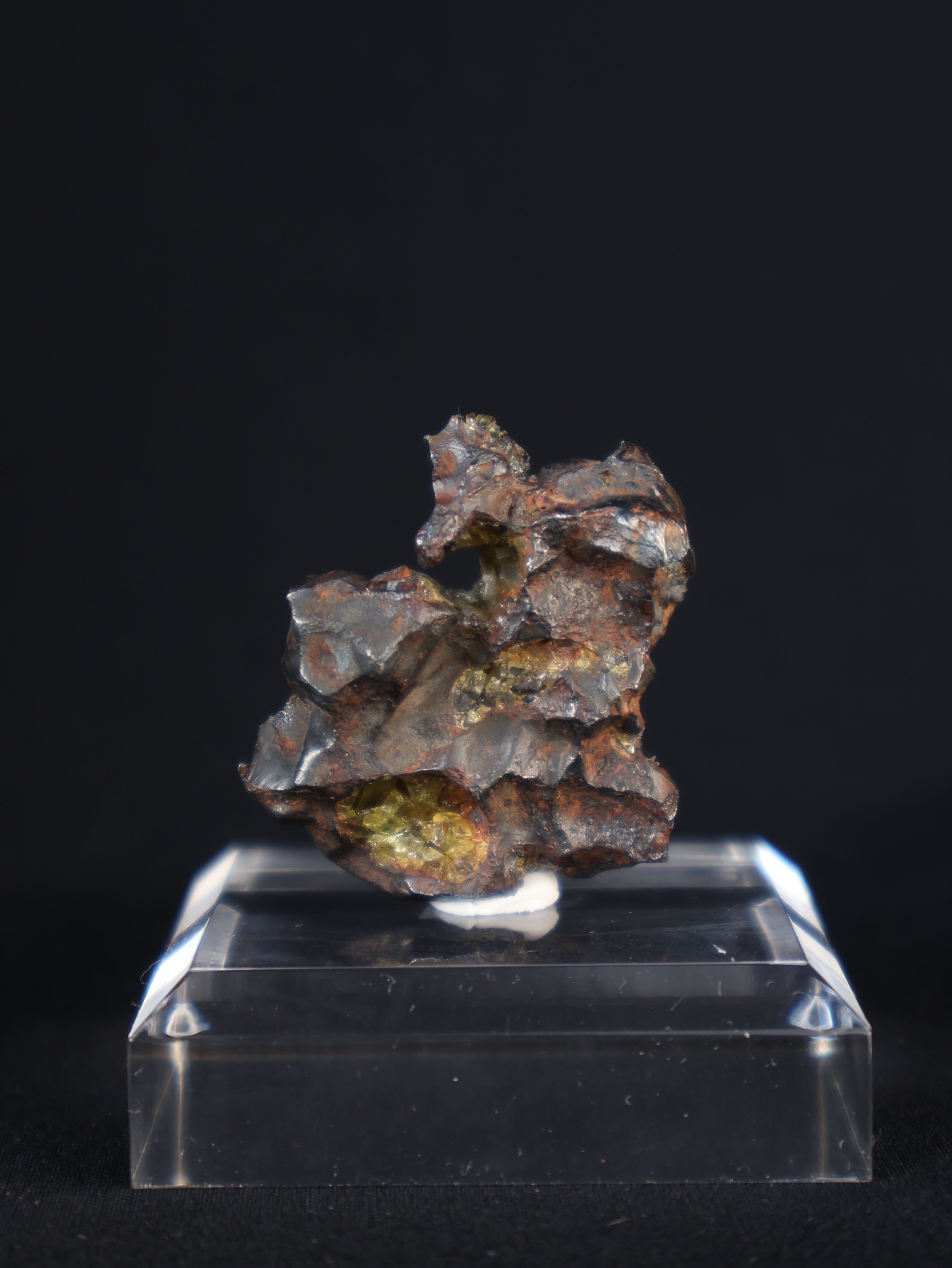 IMILAC PALLASITE METEORITE, END CUT, CHILE. 39,49 GRAMS.