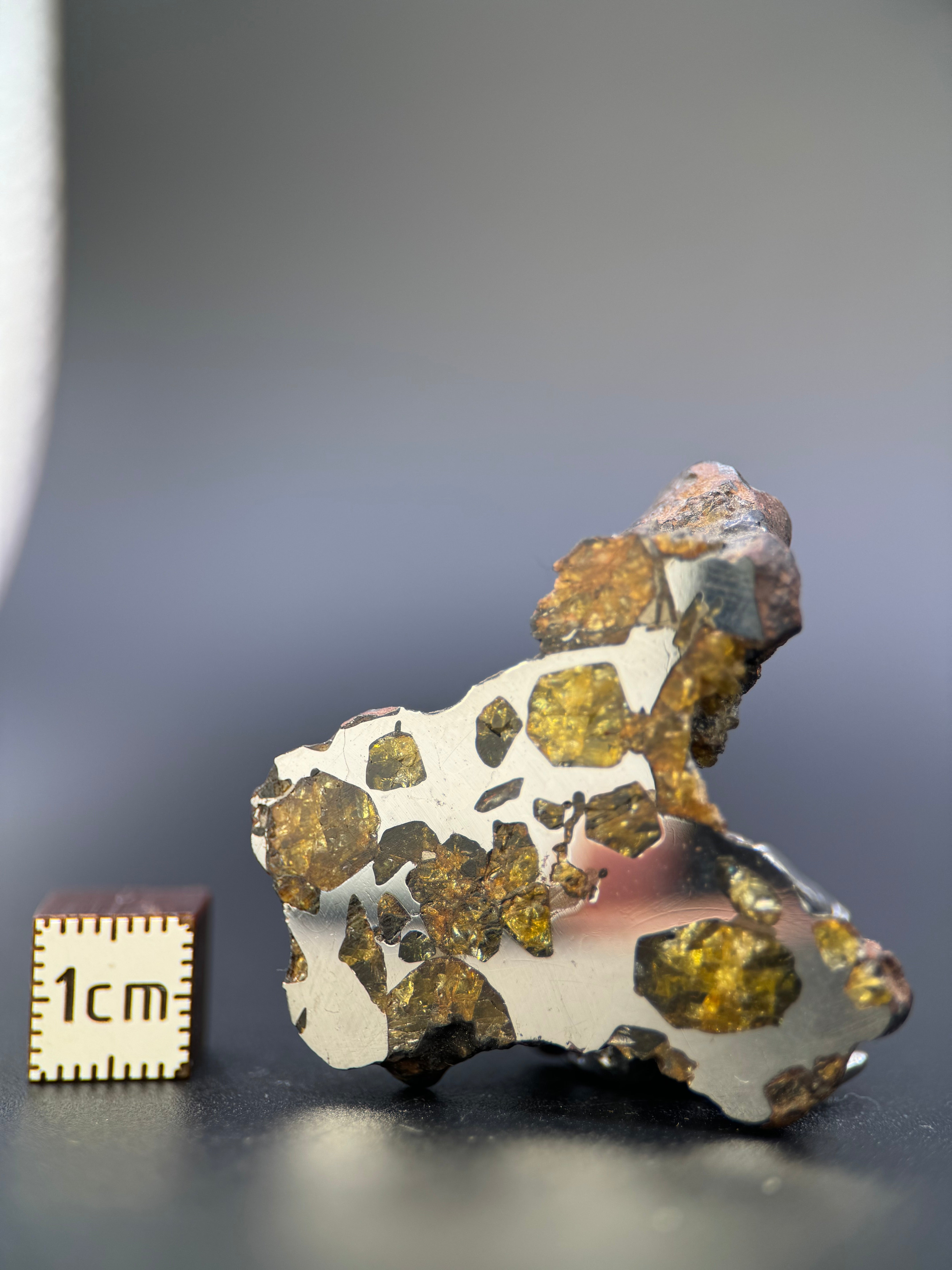 IMILAC PALLASITE METEORITE, END CUT, CHILE. 27,11 GRAMS.