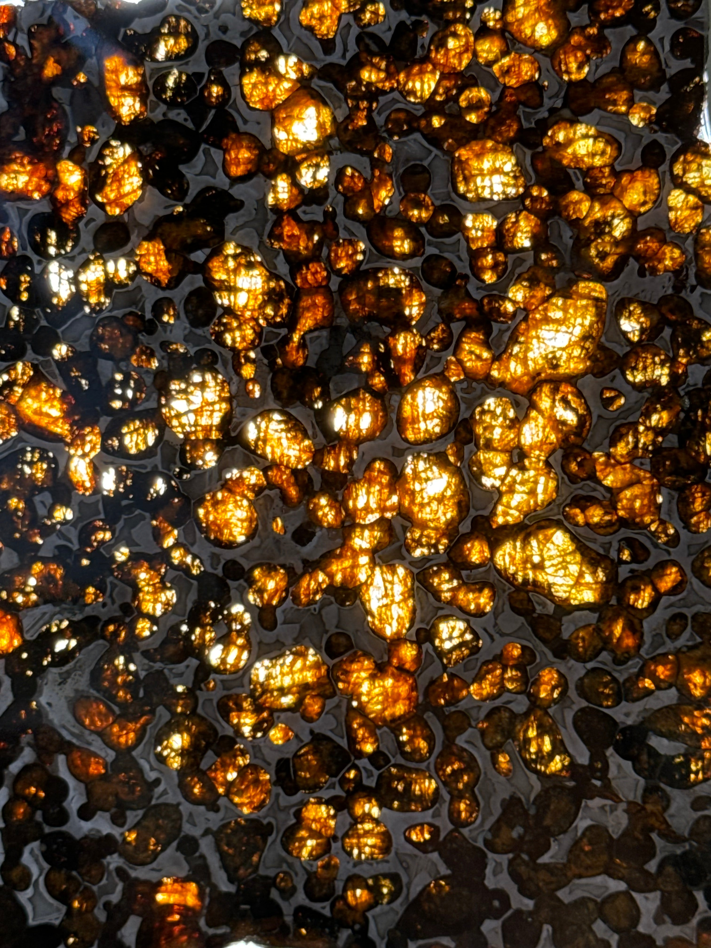 SERICHO METEORITE, KENYA. 116 GRAMS SLICE