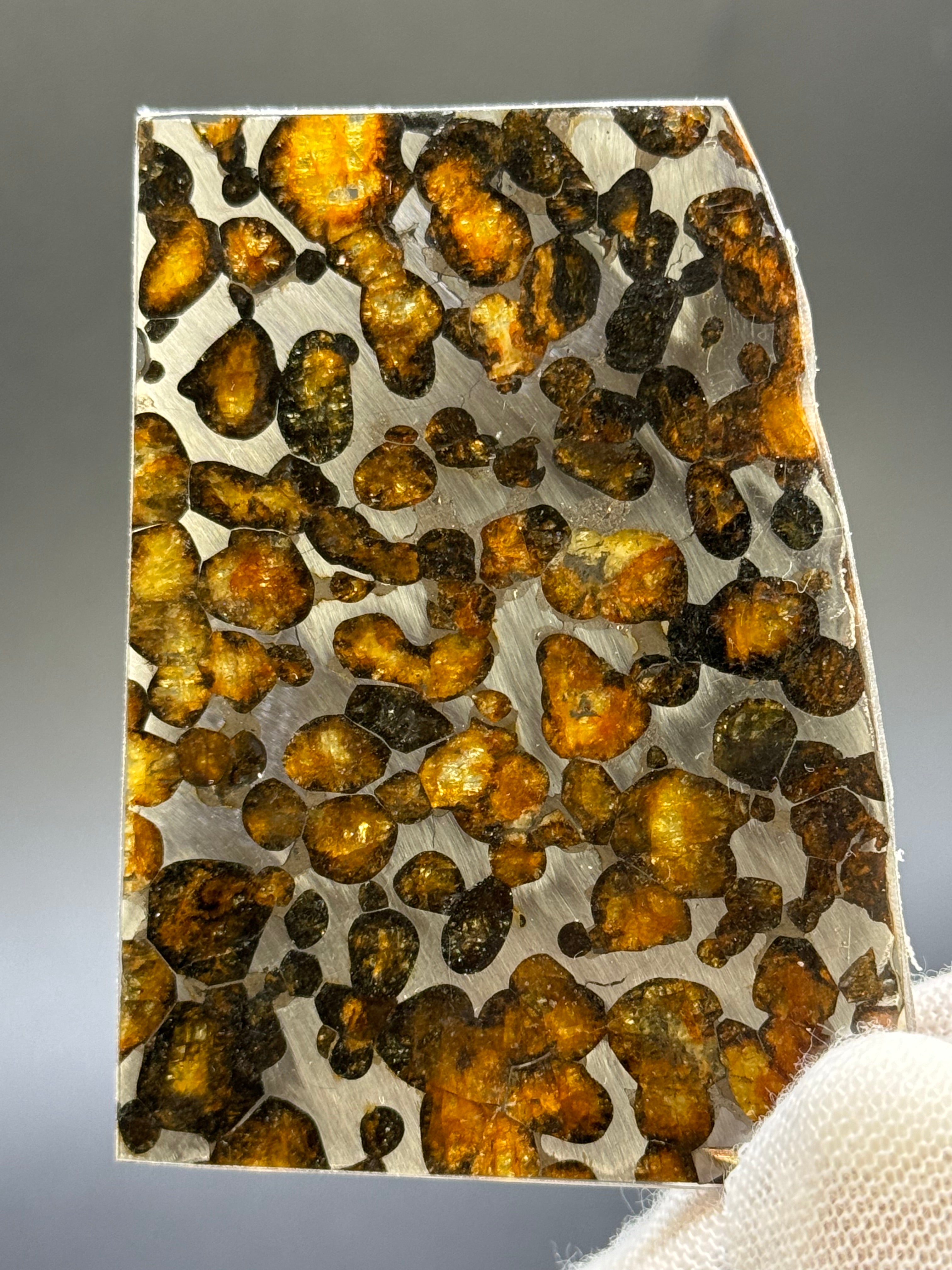 SERICHO METEORITE, KENYA. 22,40 GRAMS SLICE.