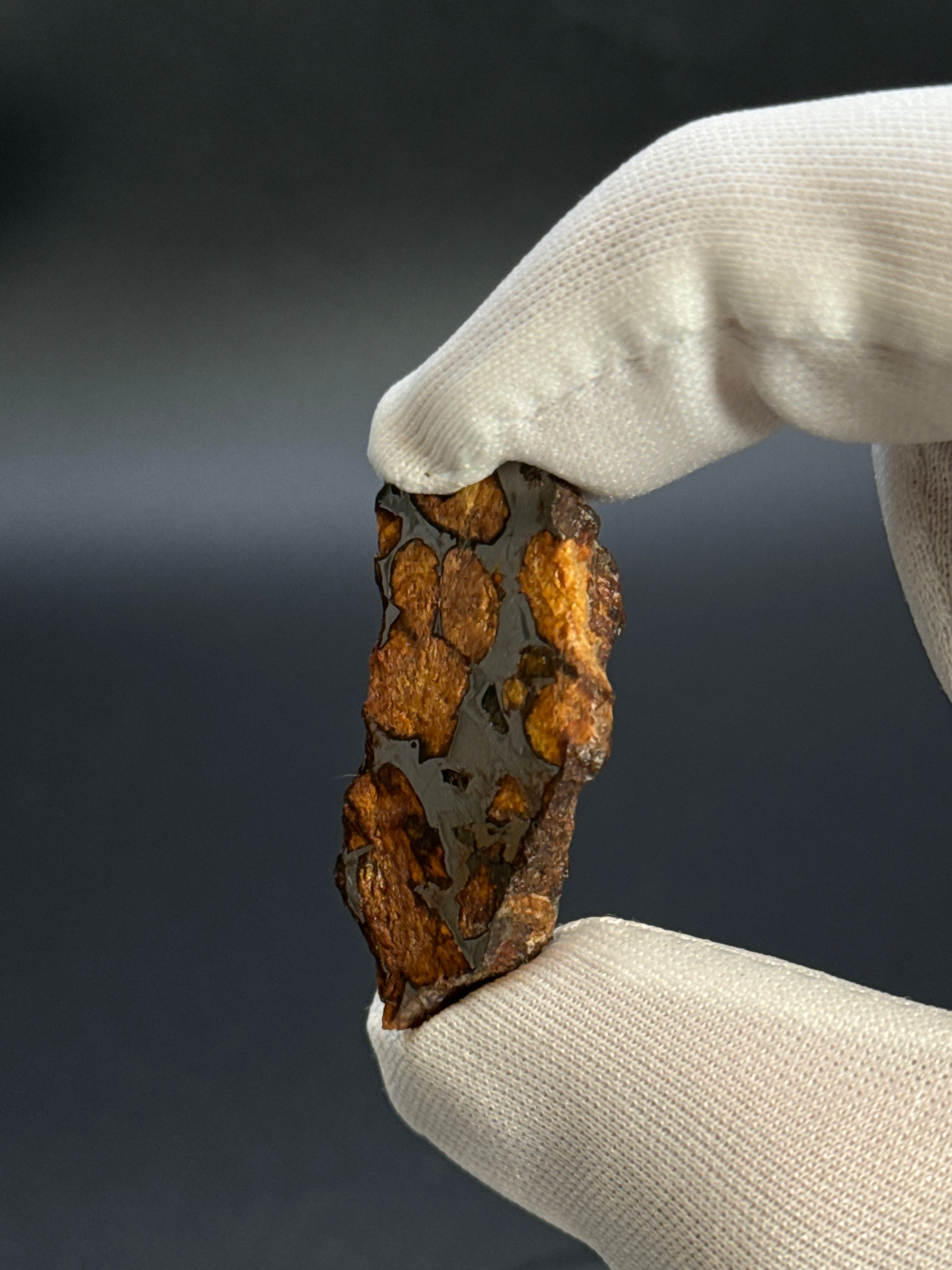 SERICHO PALLASITE METEORITE, KENYA. 7,37 GRAMS END-CUT
