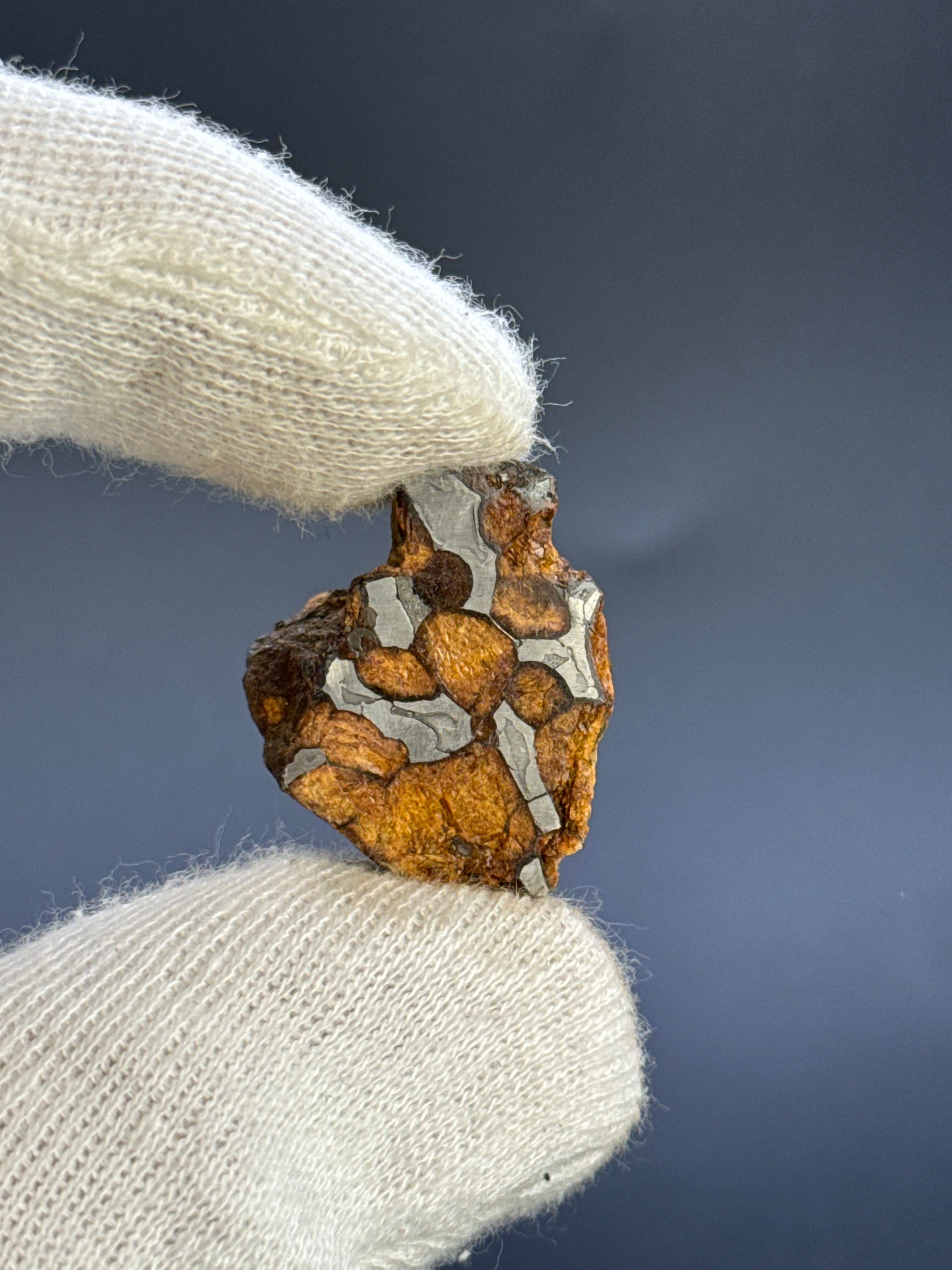 SERICHO PALLASITE METEORITE, KENYA. 14,8 GRAMS END-CUT.