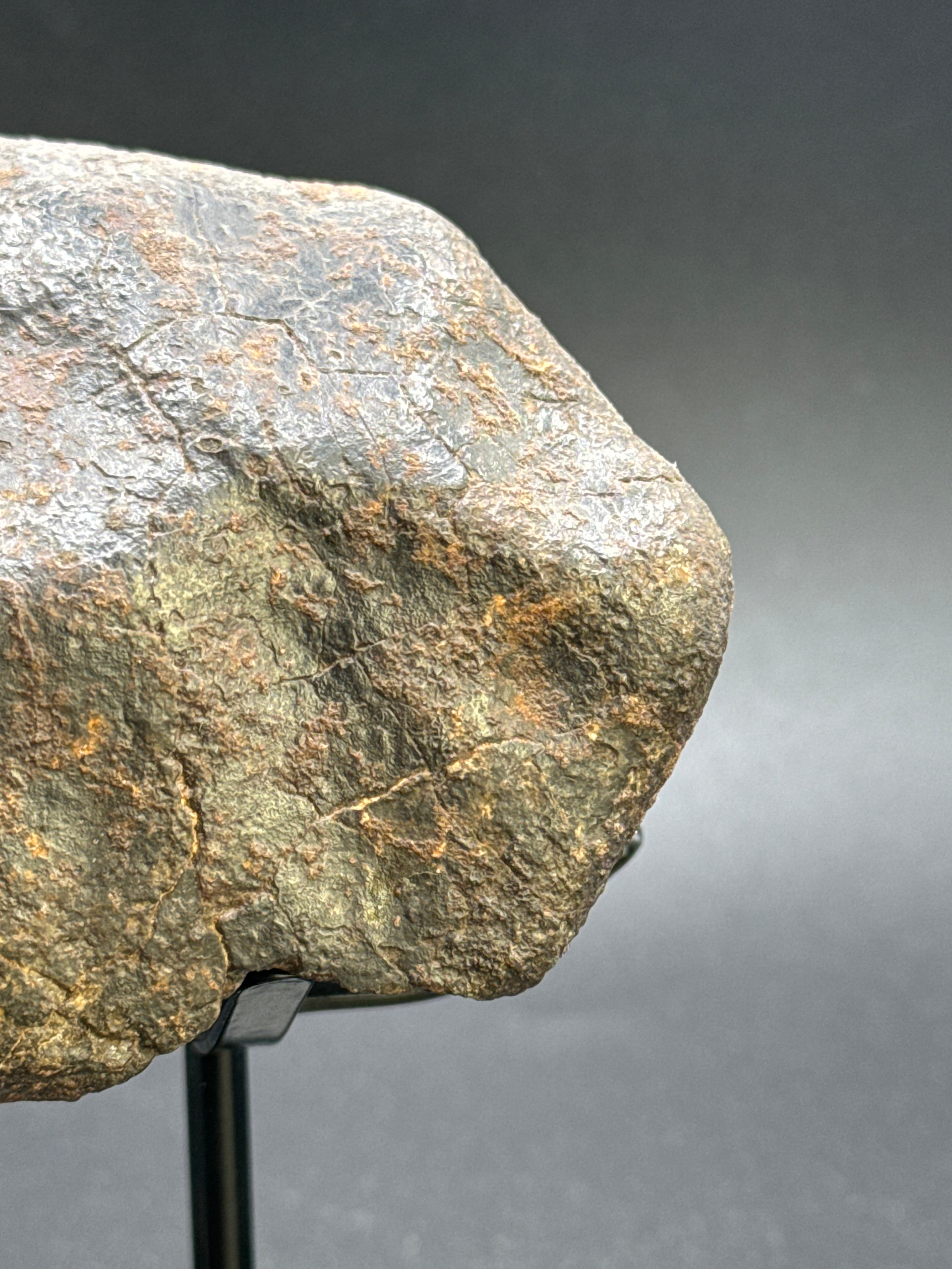 CHONDRITE METEORITE, NORTH WEST AFRICA. 437 GRAMS.