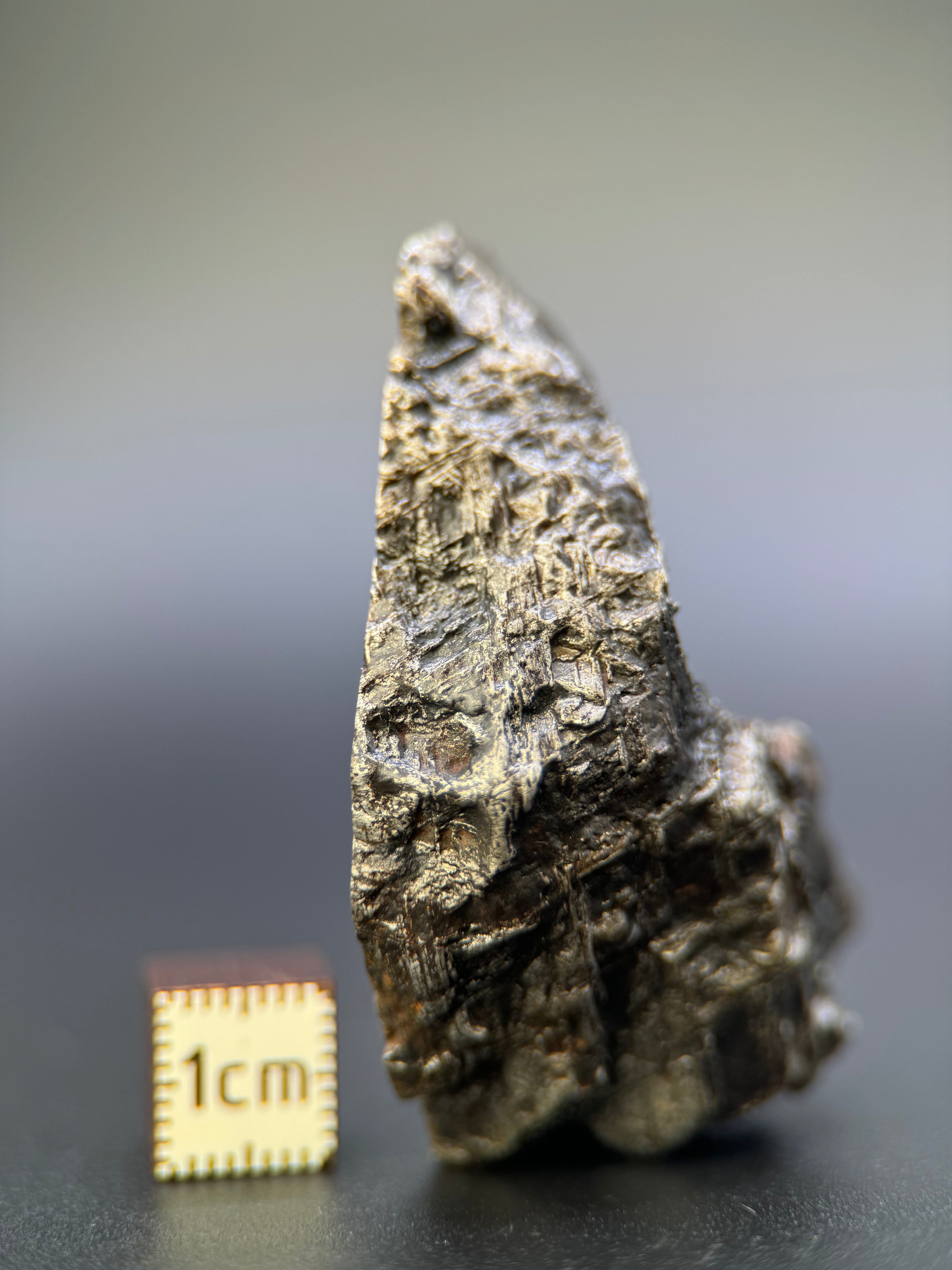 MUONIONALUSTA METEORITE, SWEDEN. 128 GRAMS END-CUT.