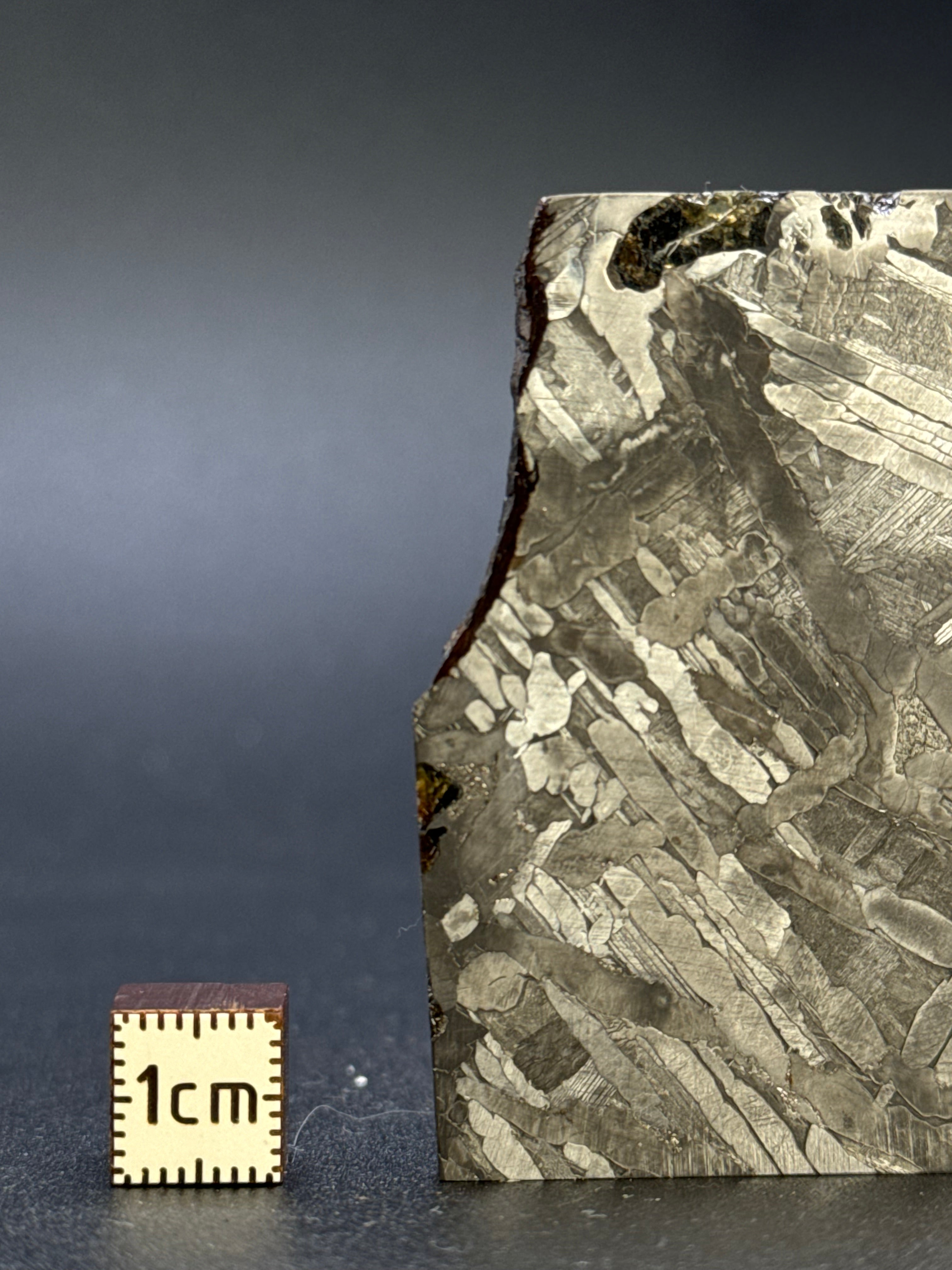 SEYMCHAN METEORITE, MAGADAN REGION, RUSSIA. 37,3 GRAMS.