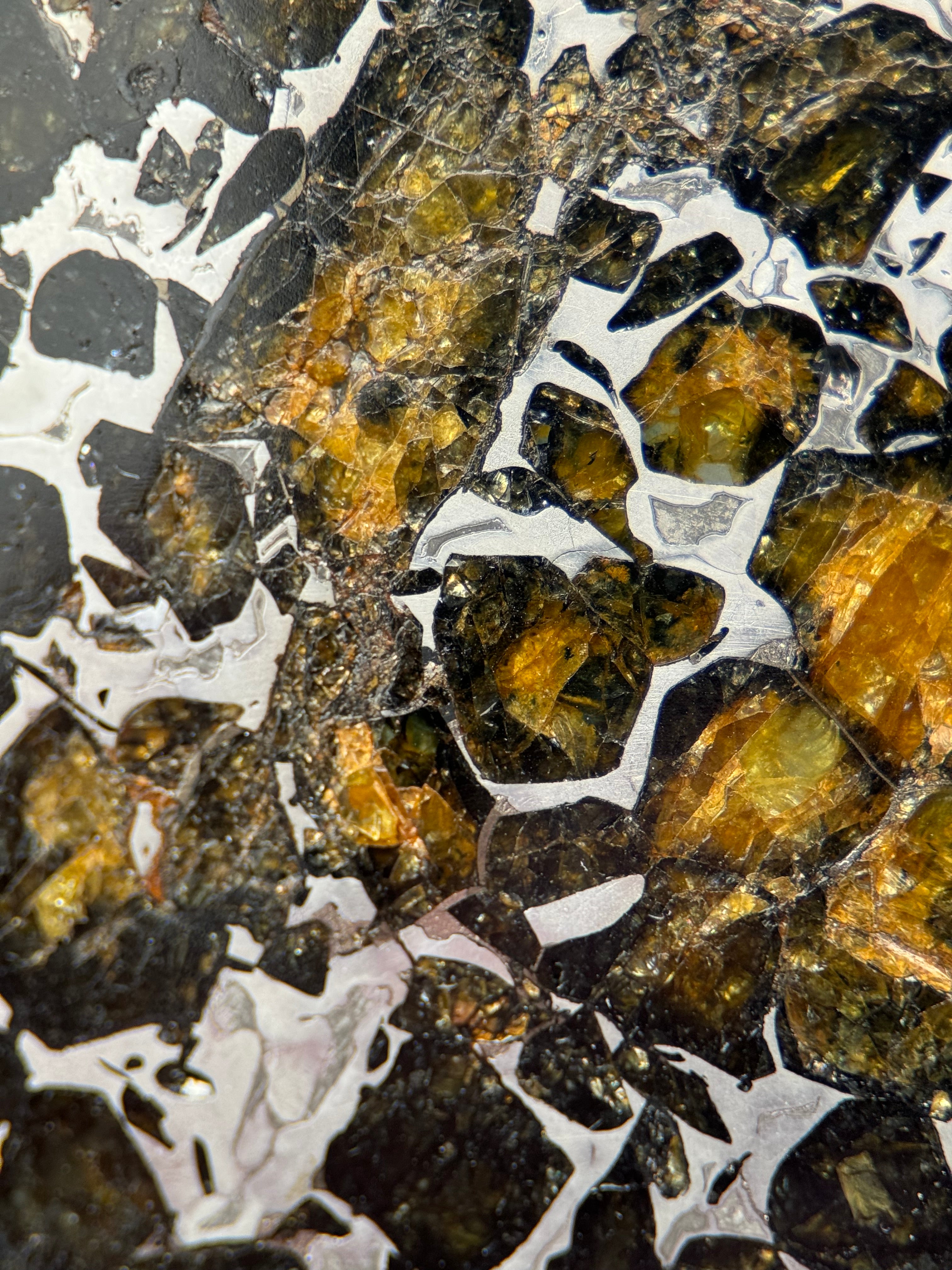 SEYMCHAN METEORITE, MAGADAN REGION, RUSSIA. 36,6 GRAMS SLICE.