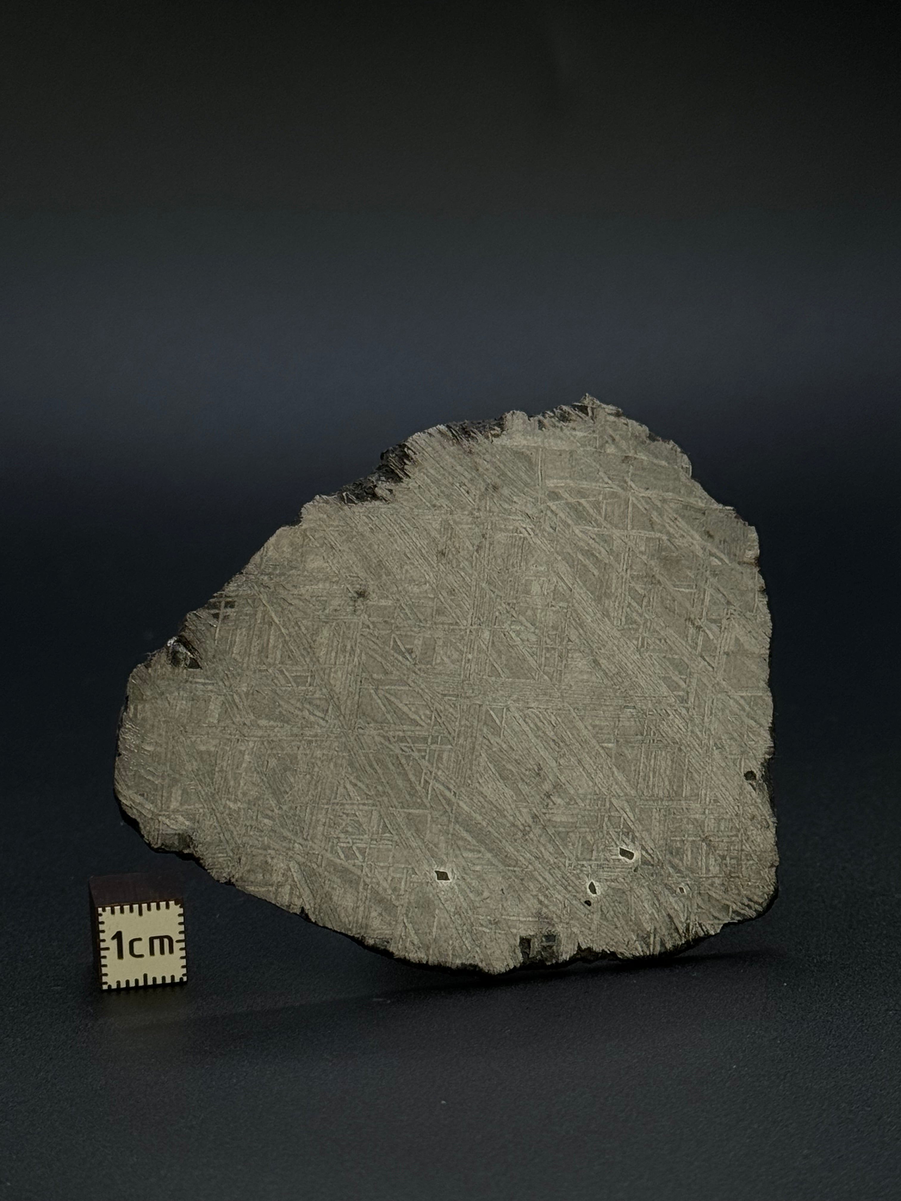 MUONIONALUSTA METEORITE, SWEDEN. 92,42 GRAMS.