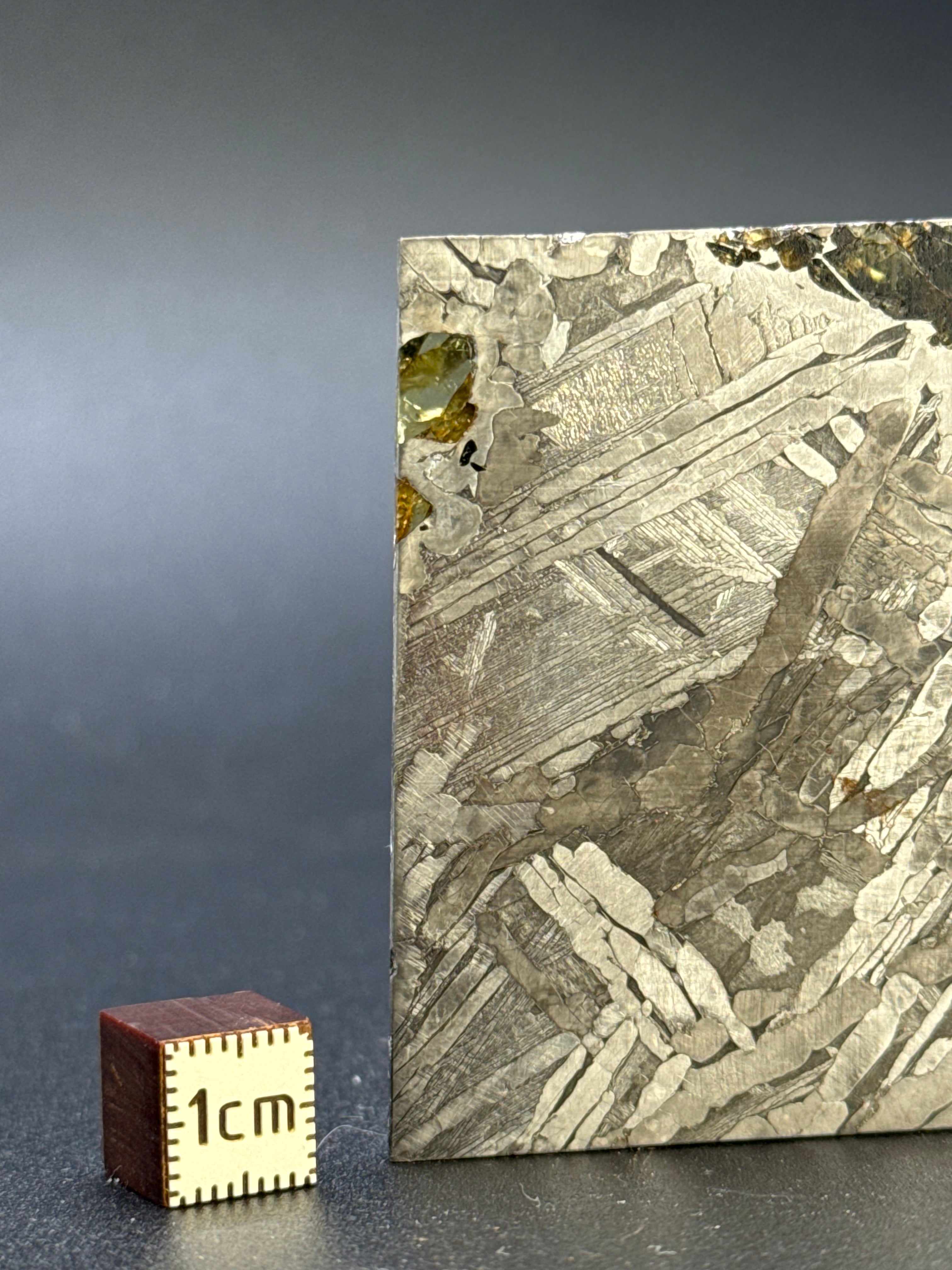 SEYMCHAN METEORITE, MAGADAN REGION, RUSSIA. 37,3 GRAMS.
