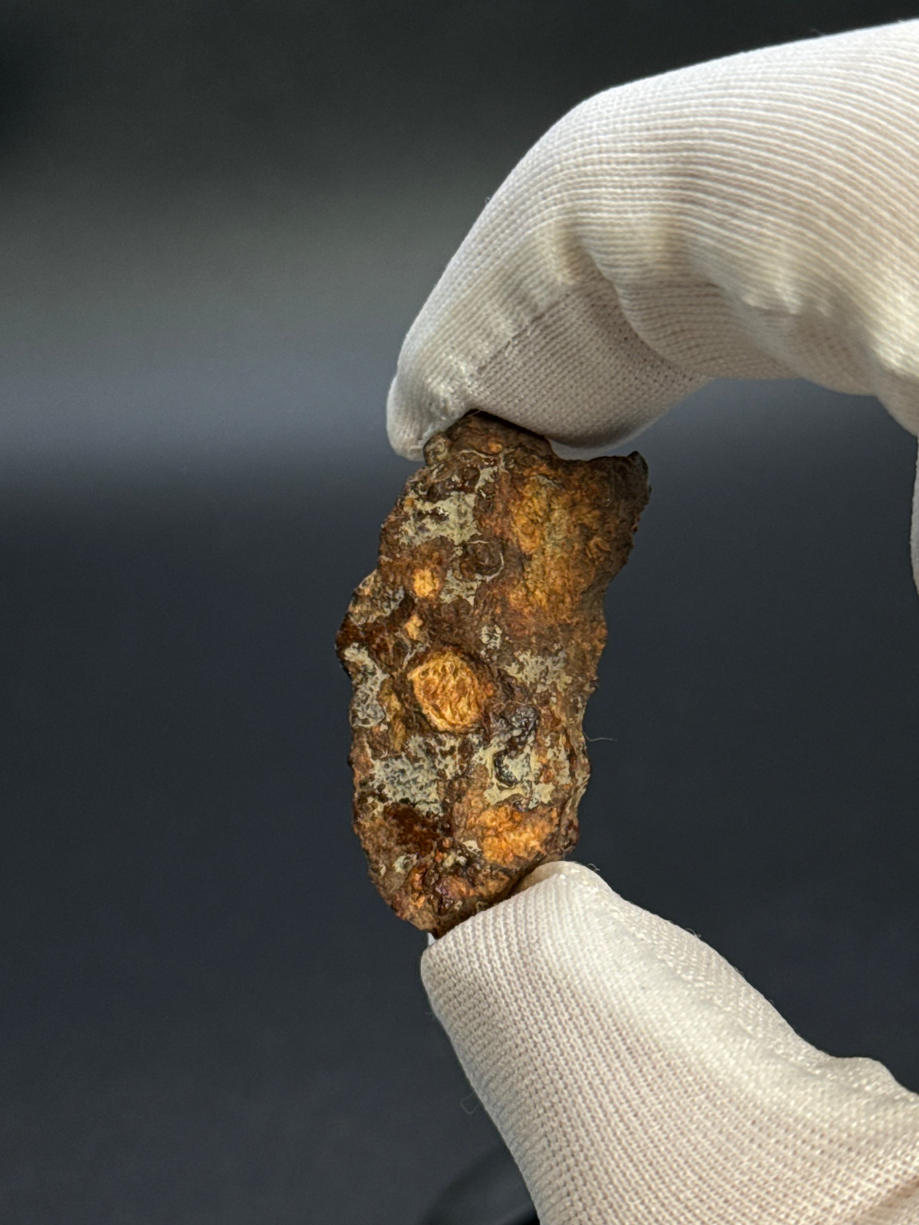 SERICHO PALLASITE METEORITE, KENYA. 7,37 GRAMS END-CUT