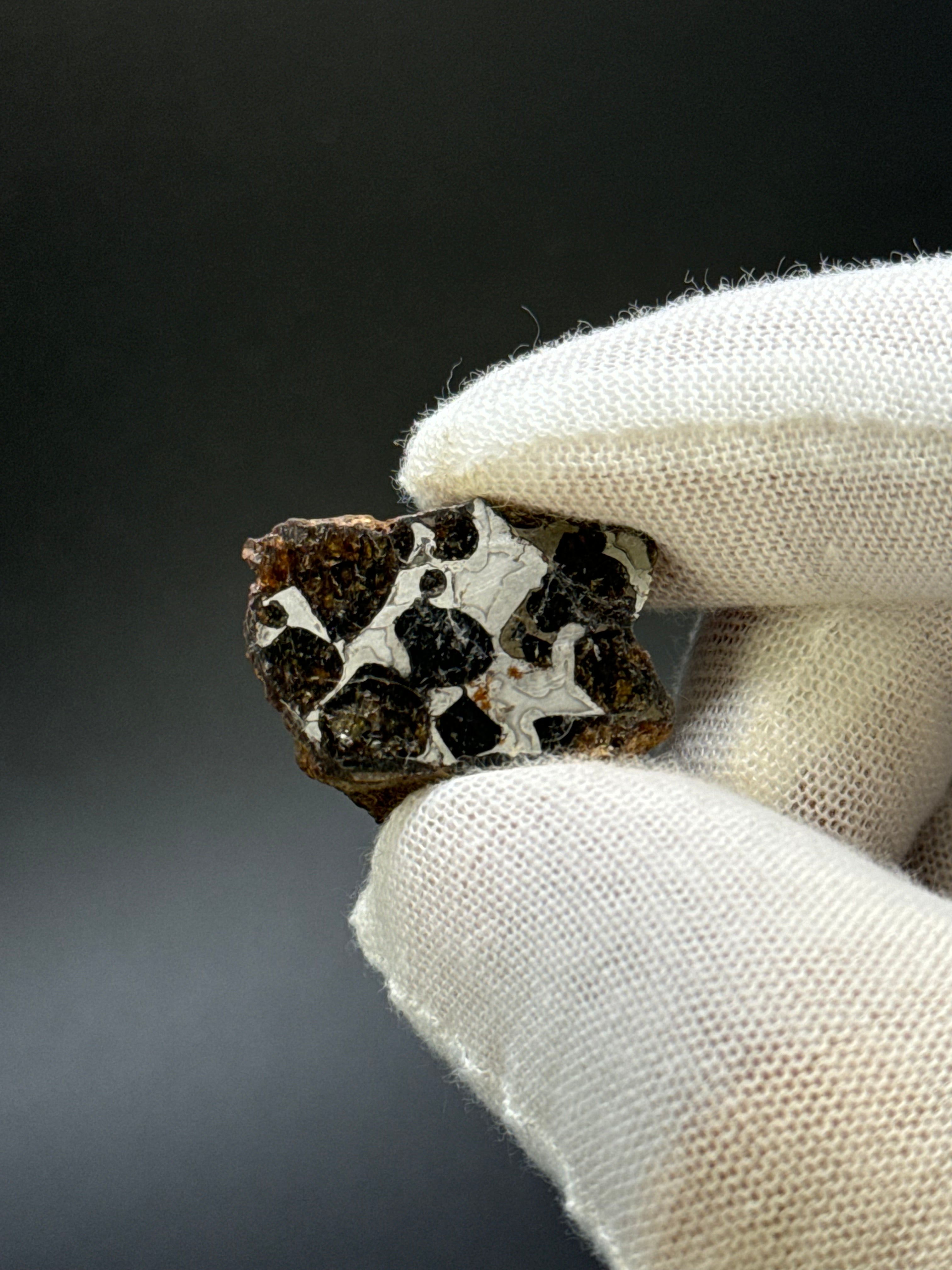 SERICHO PALLASITE METEORITE, KENYA. 13,49 GRAMS END-CUT
