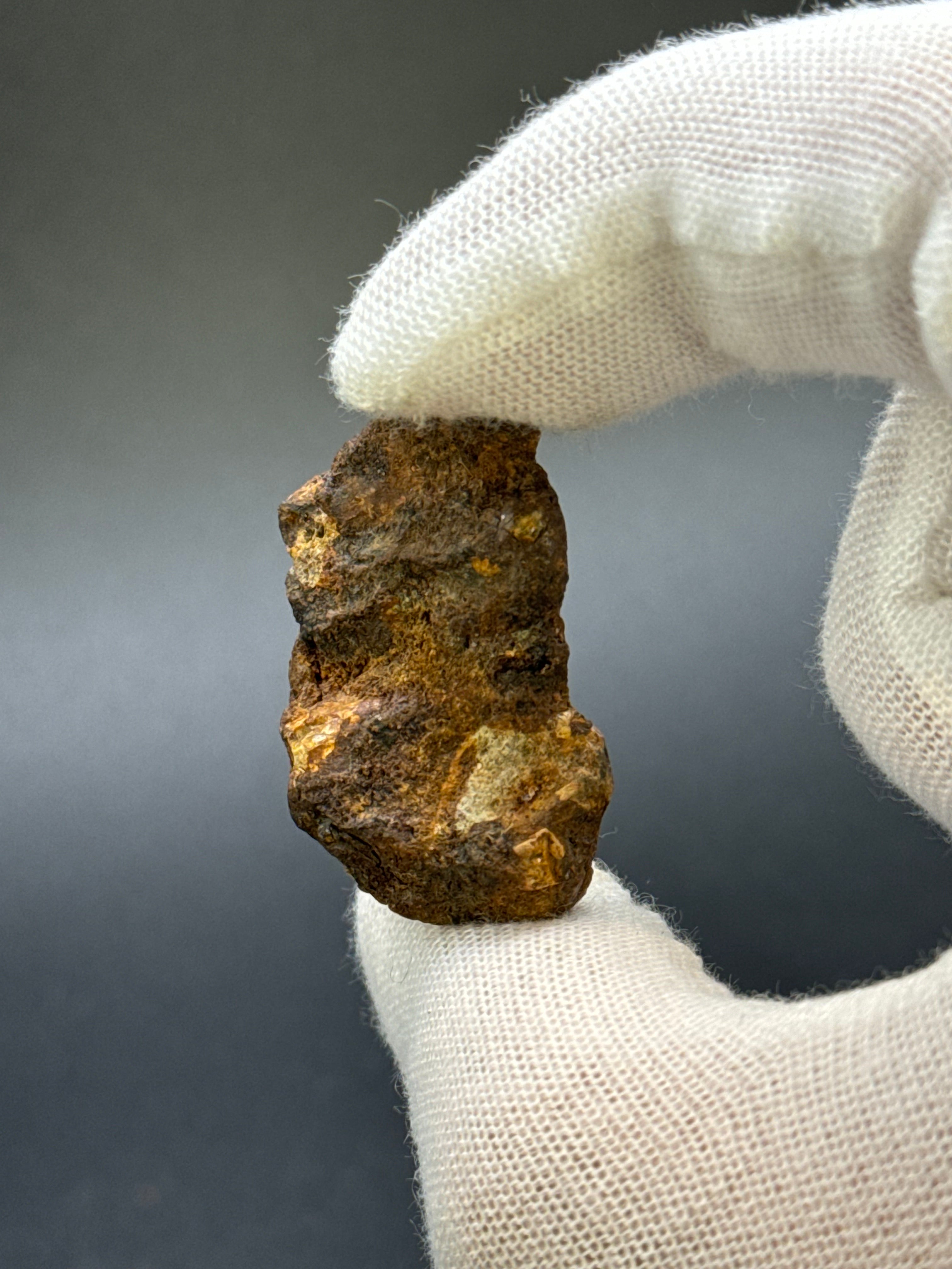 SERICHO PALLASITE METEORITE, KENYA. 13,59 GRAMS END-CUT