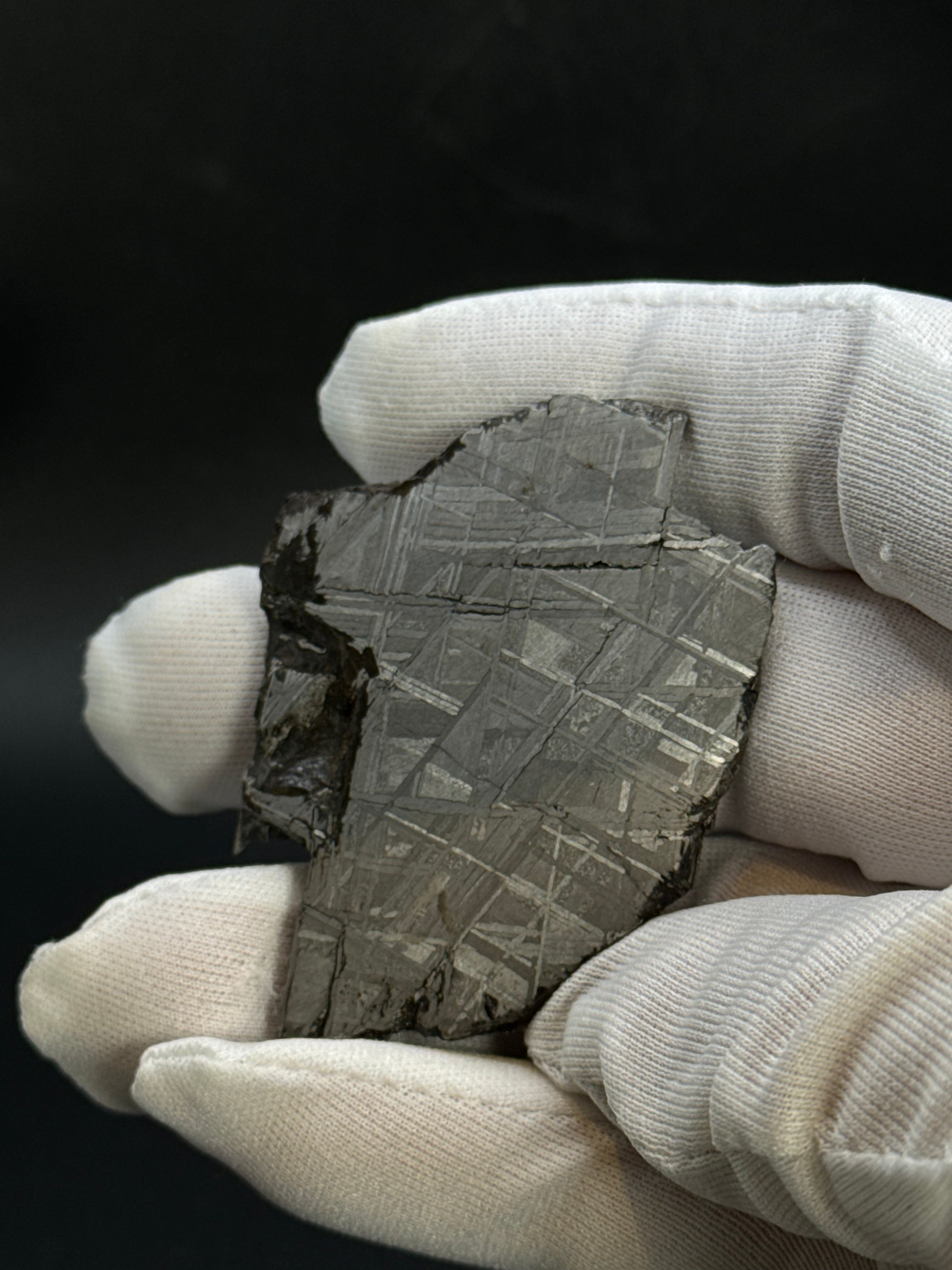 MUONIONALUSTA METEORITE, SWEDEN. 44,09 GRAMS.